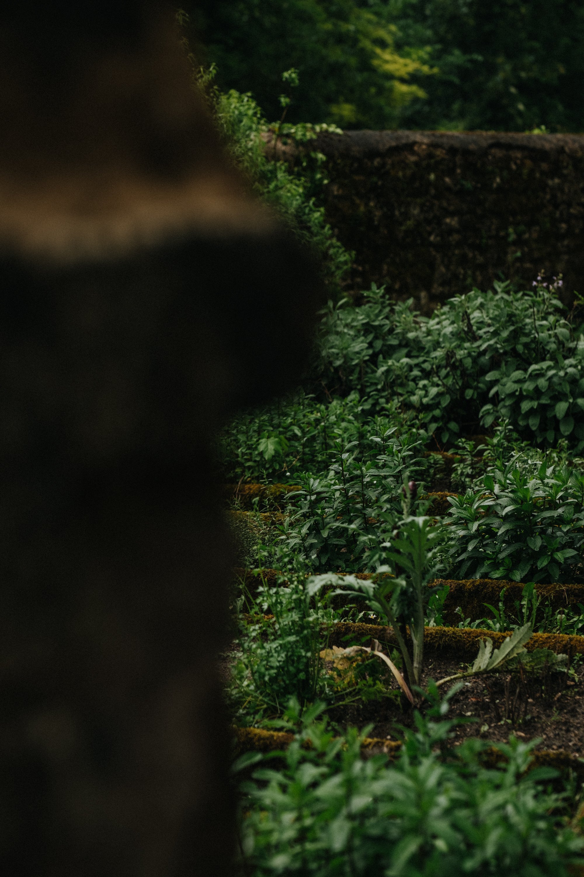villefranche garden-13.jpg