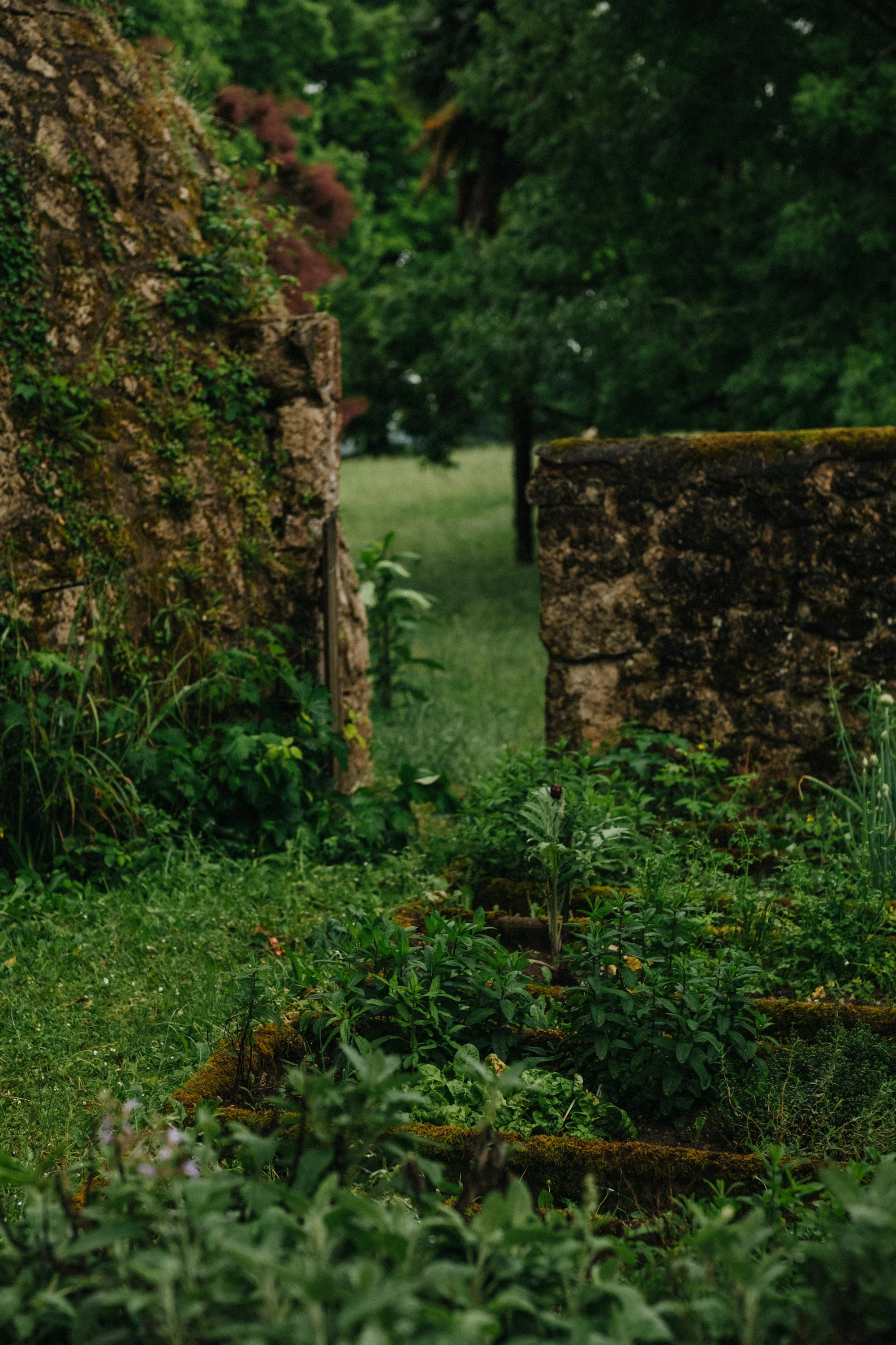 villefranche garden-21.jpg