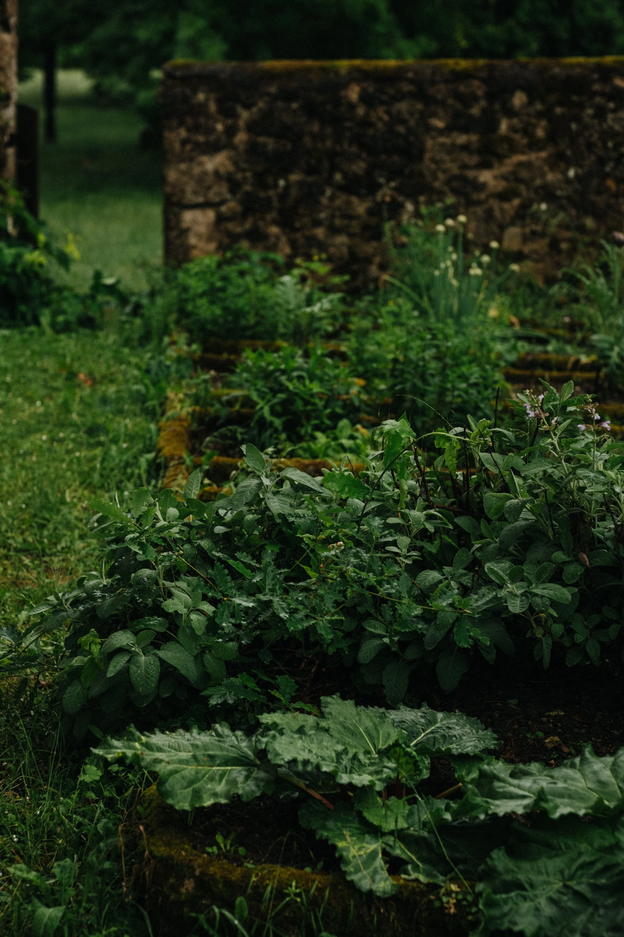 villefranche garden-23.jpg
