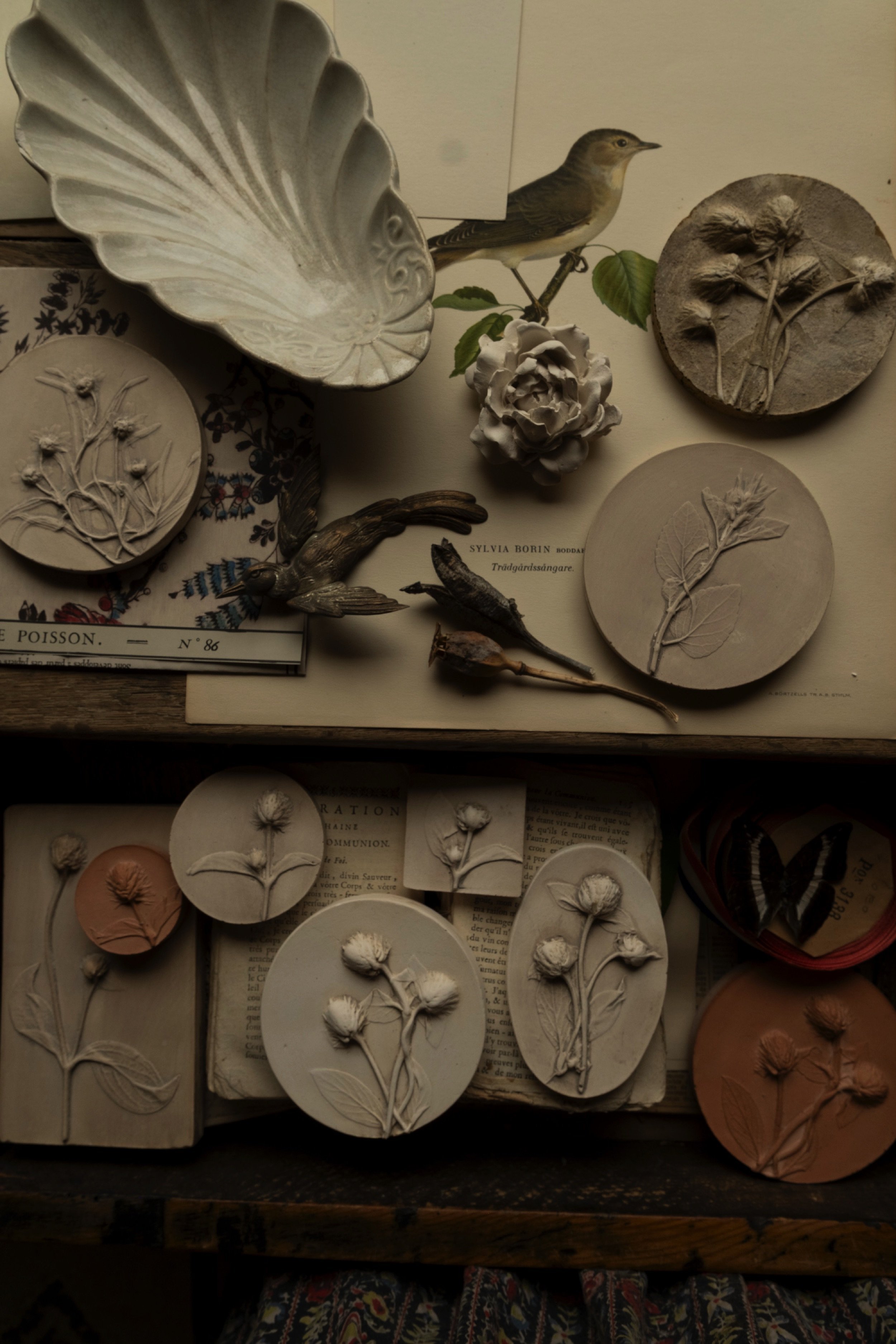 jocelynkempeplasterartist.jpg