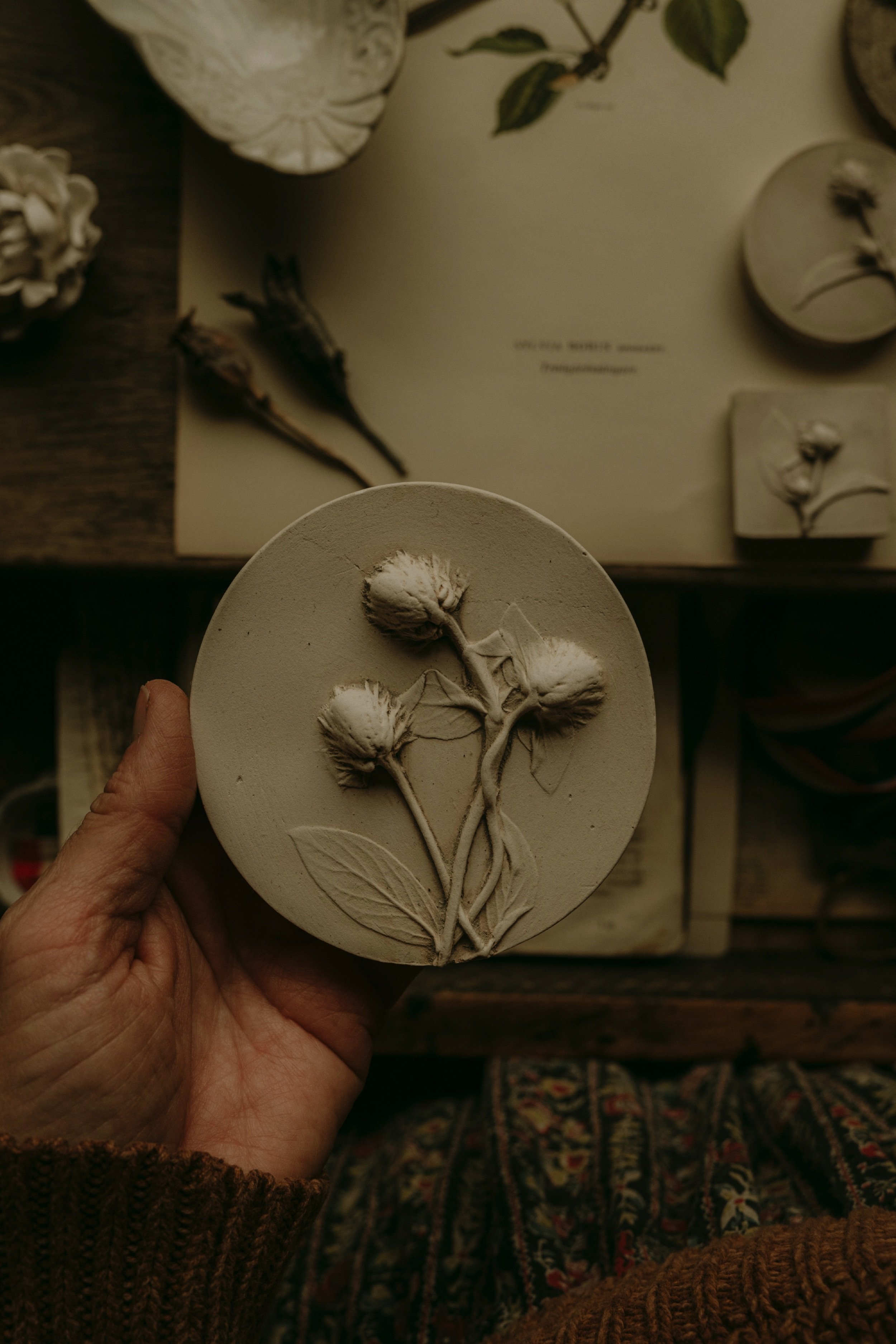 jocelynkempeplasterartist-33.jpg