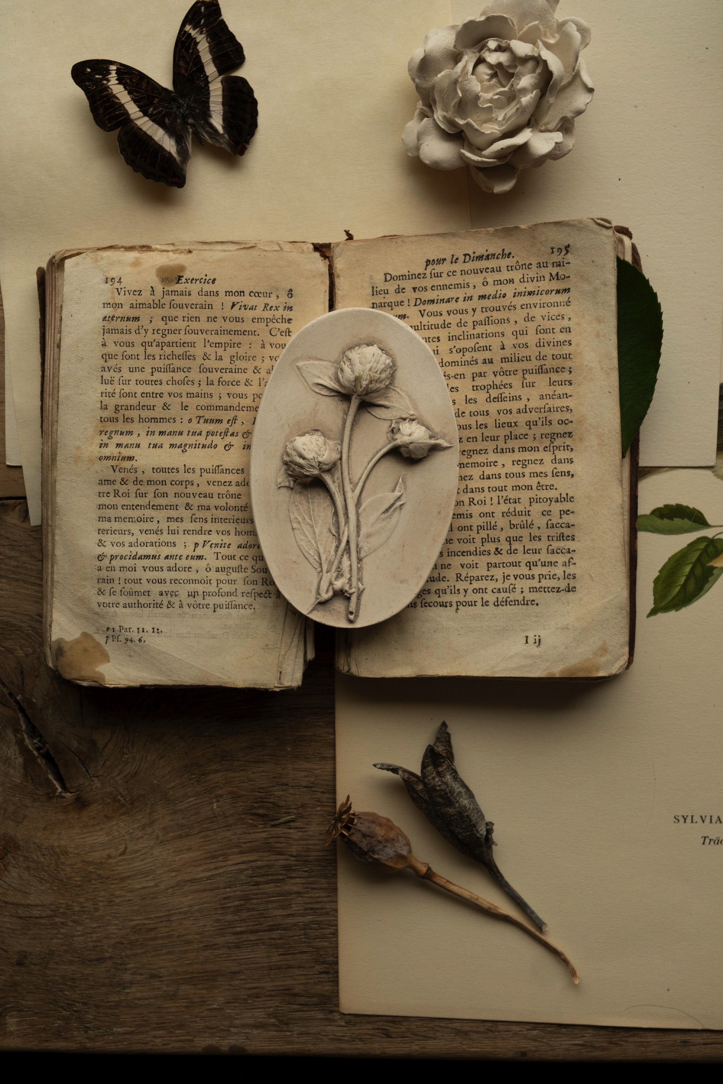 jocelynkempeplasterartist-49.jpg
