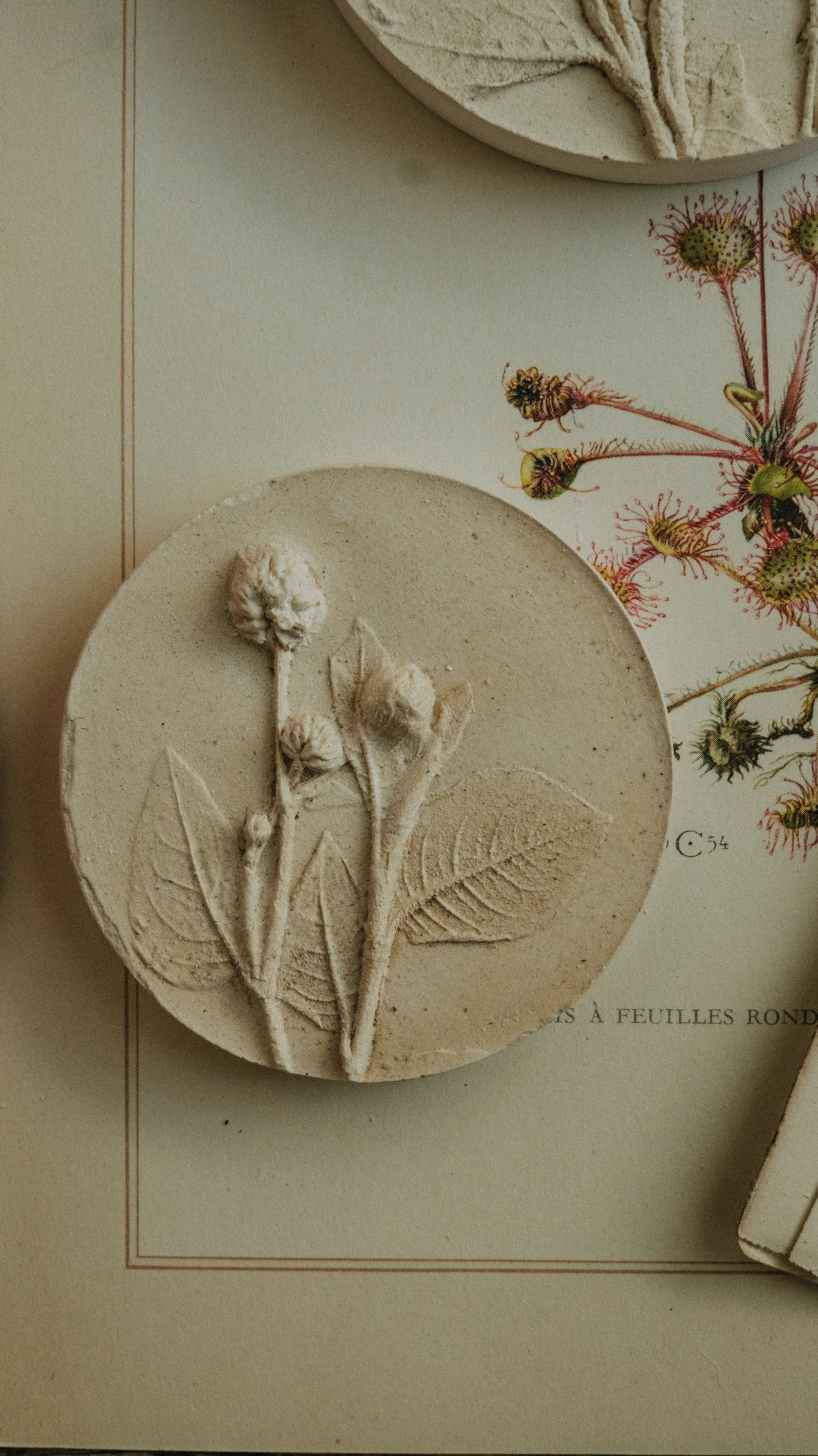 wabisabiportfoliodrop-074.jpg