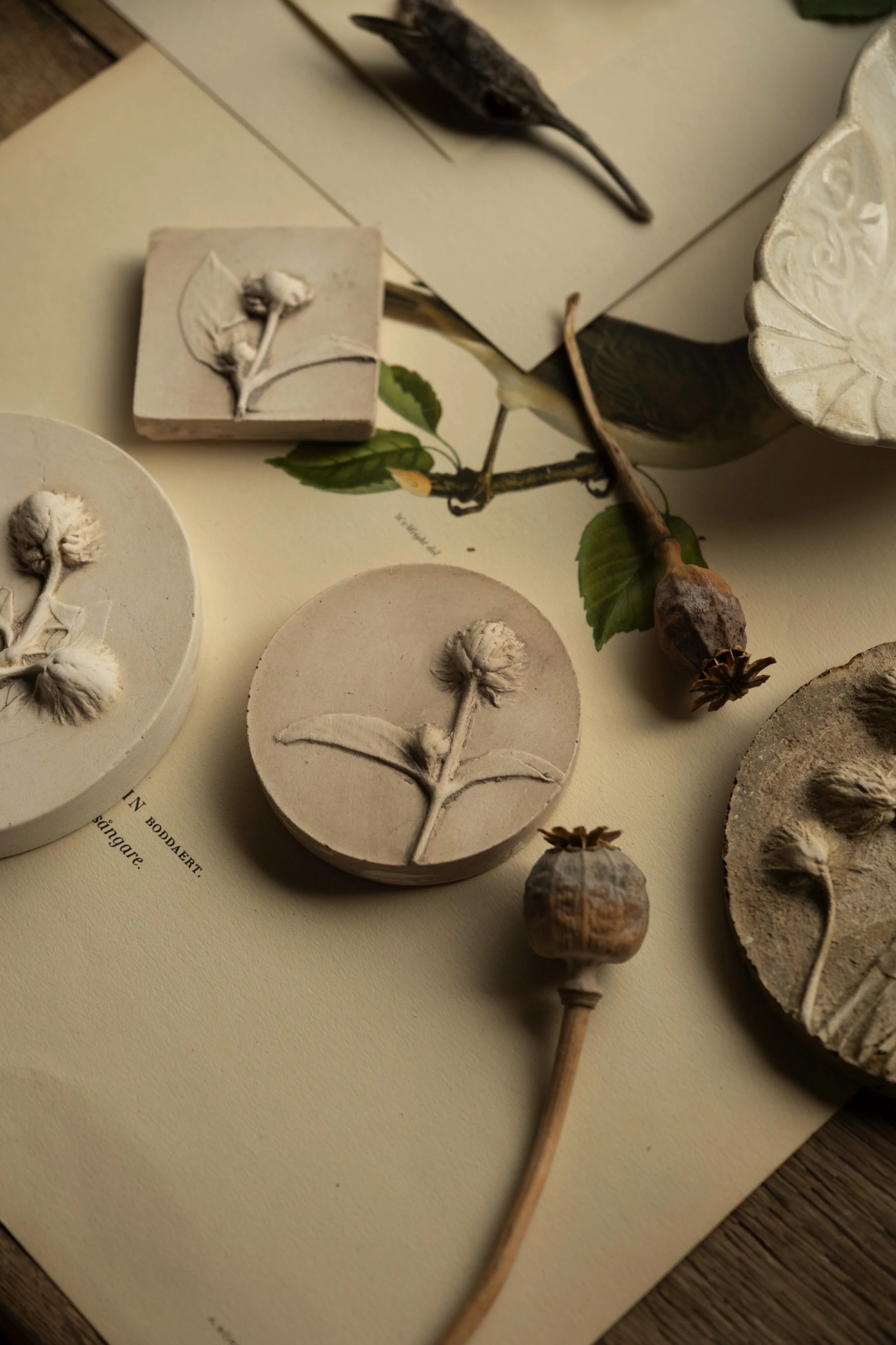 jocelynkempeplasterartist-63.jpg
