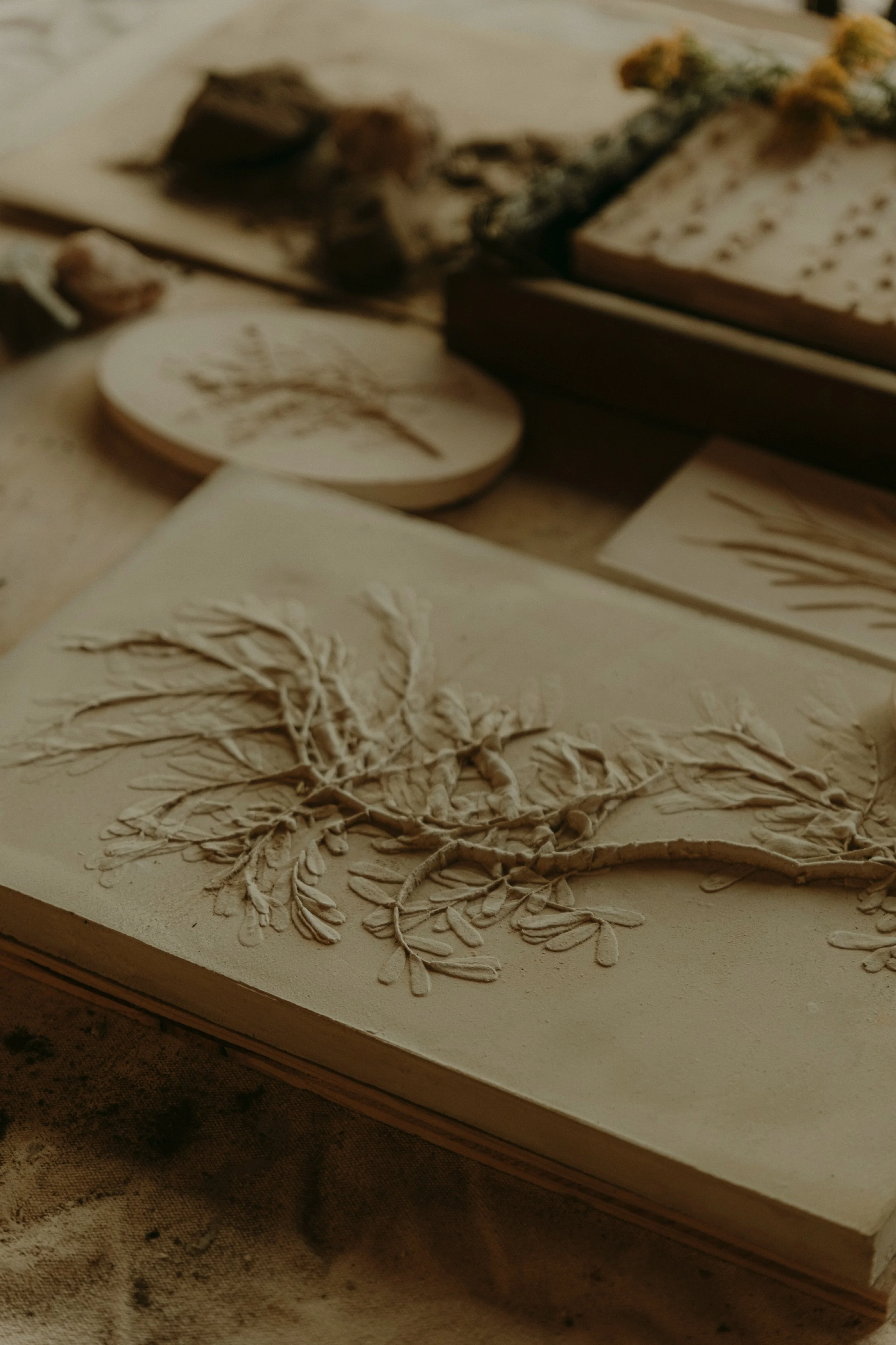 Ironwood branch — cast in solid gypsum. This piece captures the details of the tree beautifully in the 14 x 9 size.