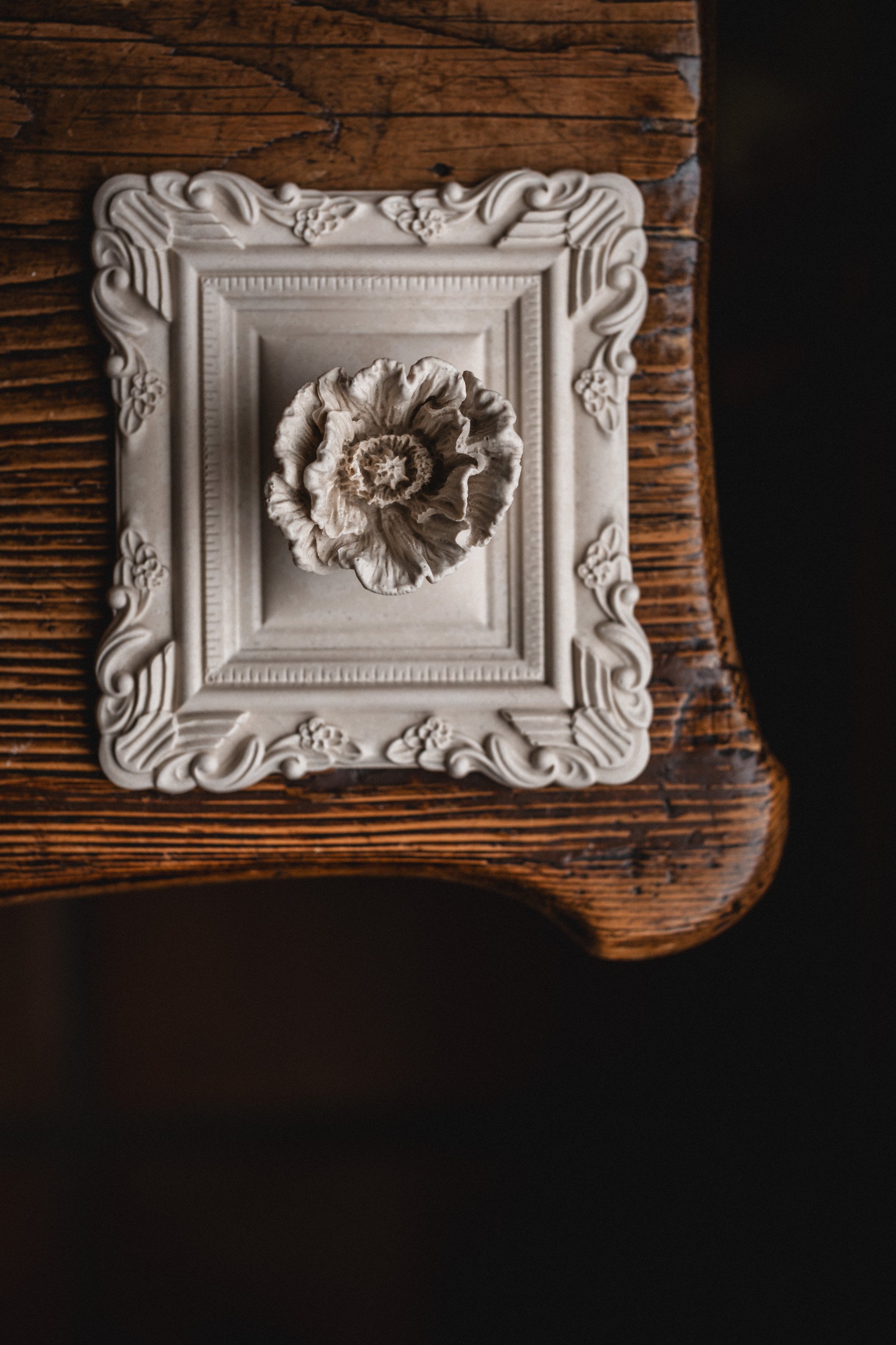Single Plaster Poppy Flower