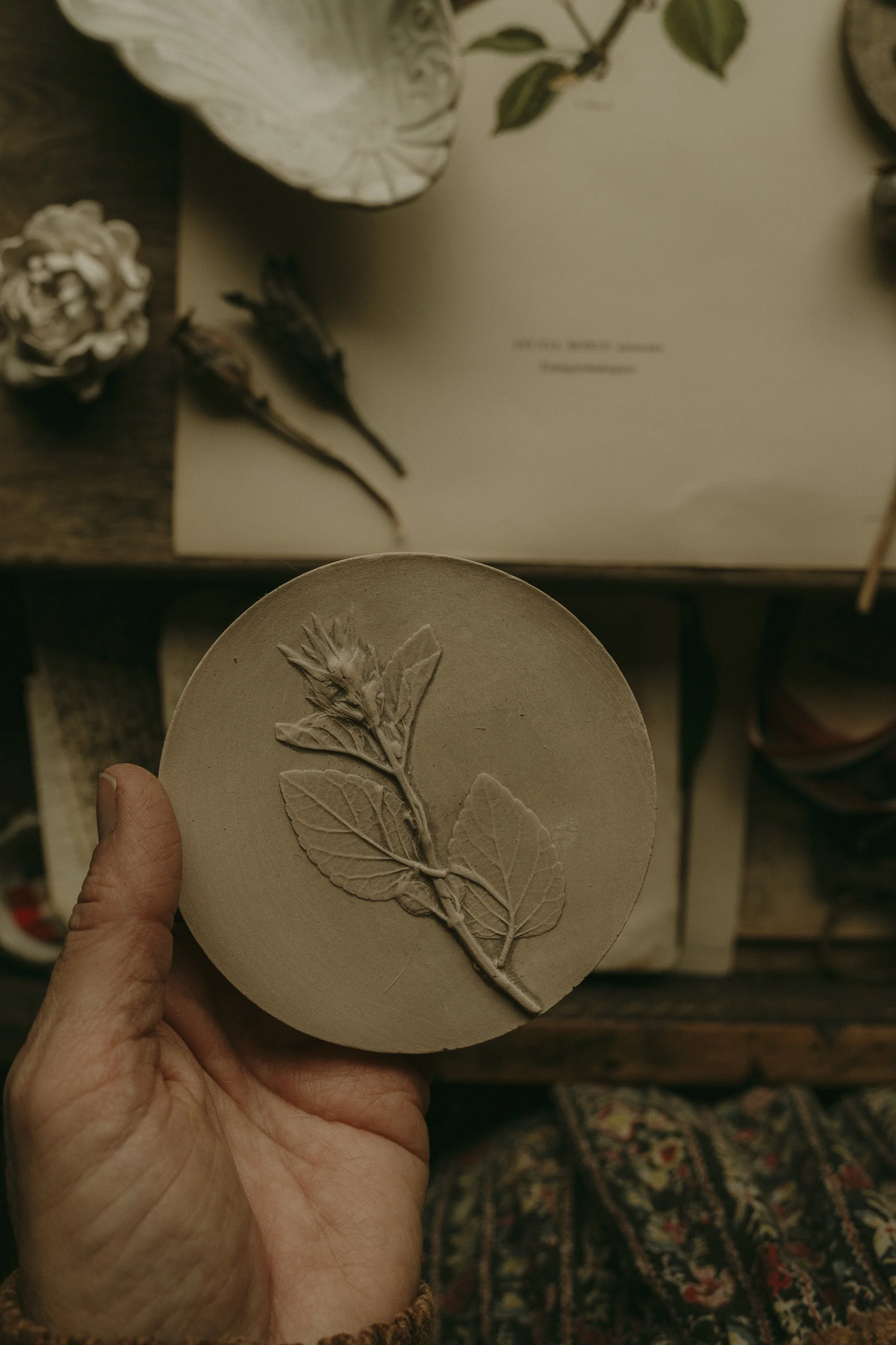 jocelynkempeplasterartist-20.jpg