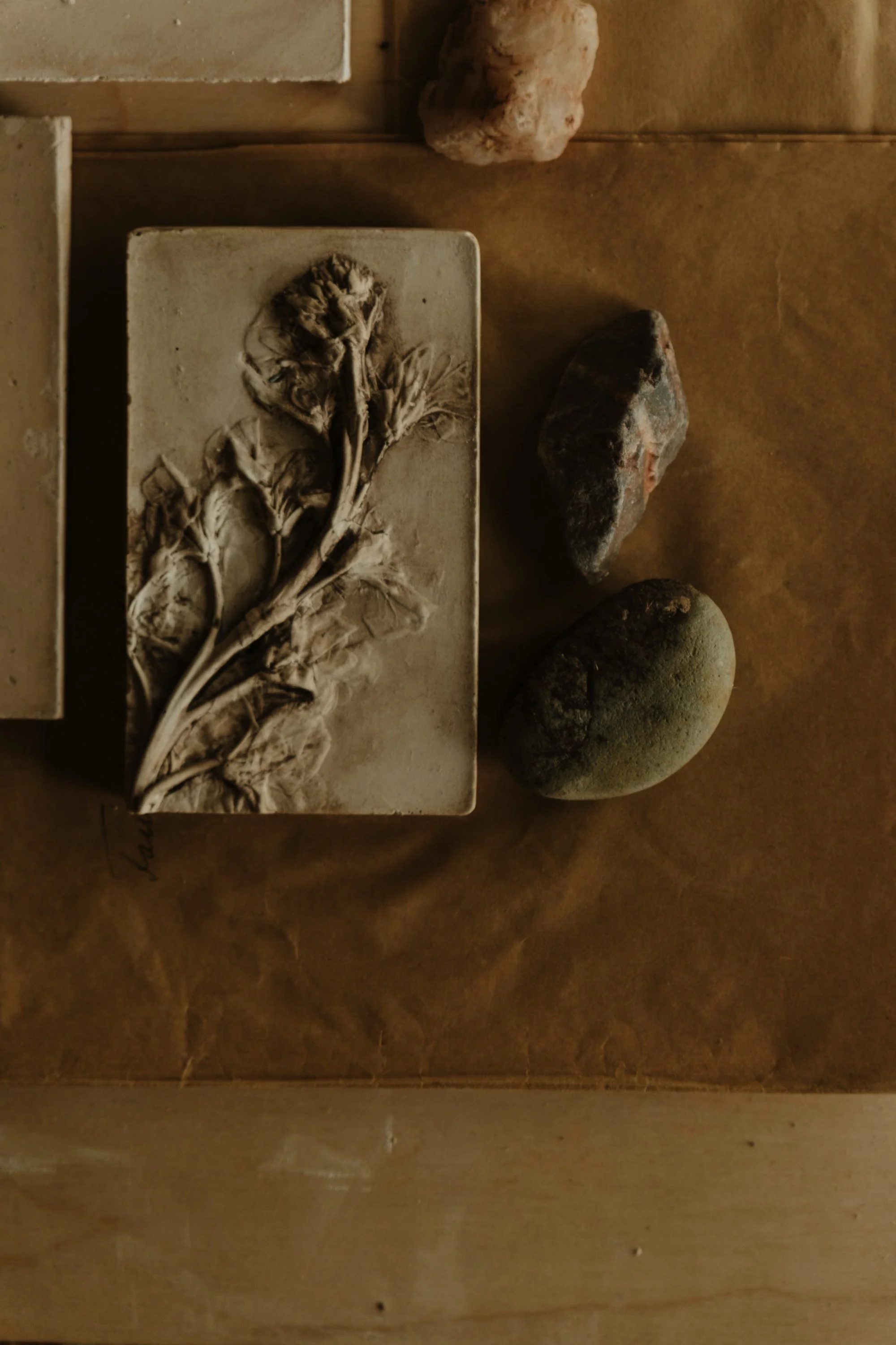No. 4 · Single stock stem cast in gypsum and washed in Soldarte clay. Rough steel edging. Feels archival and still.
Measures 10 x 8