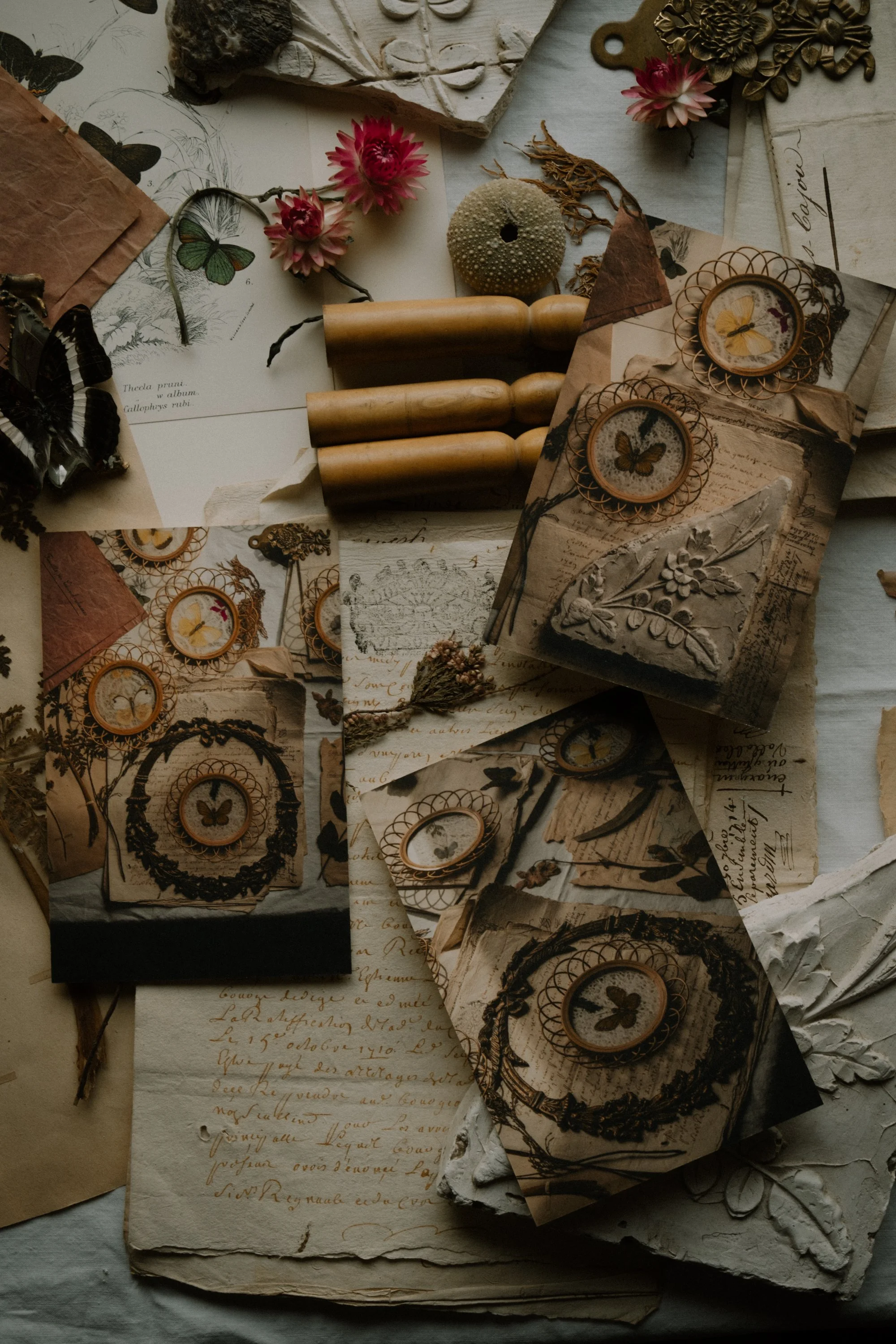 butterfly-10.jpg (Copy) (Copy)