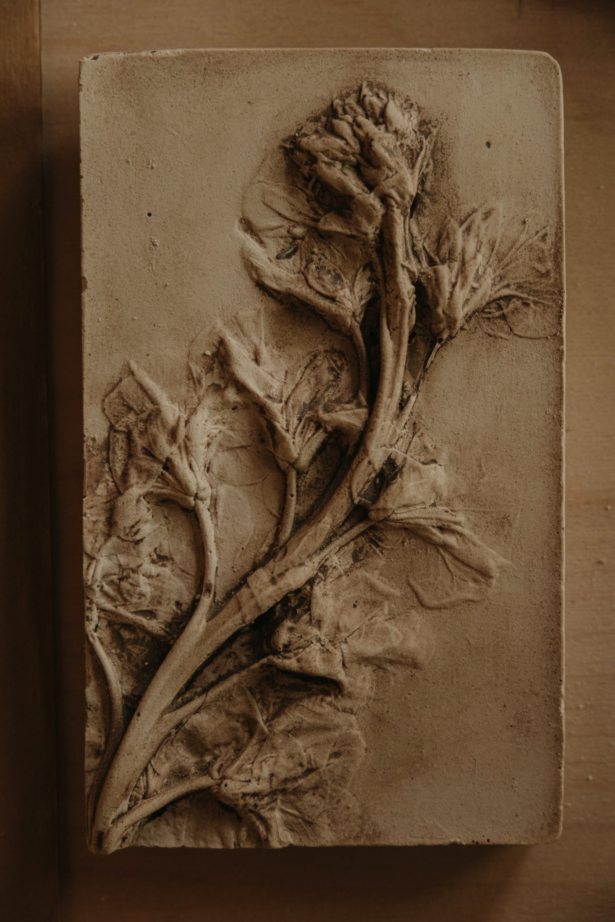 No. 6 · Small stock tile. A single stem cast in gypsum with sage water, washed in stoneware clay and sun cured for one week.
Measures 6 x 4