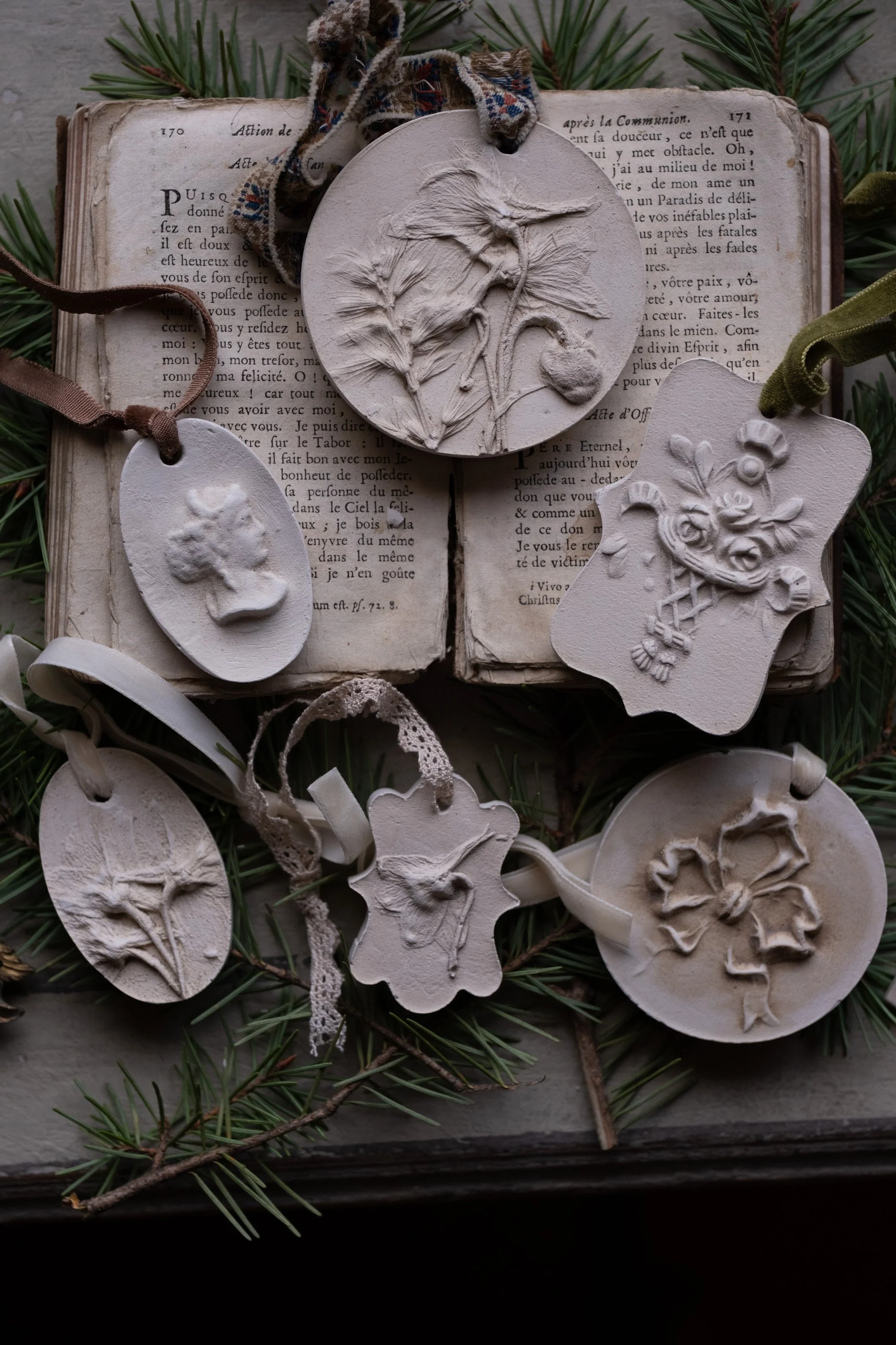 Frosted Petal-16.jpg