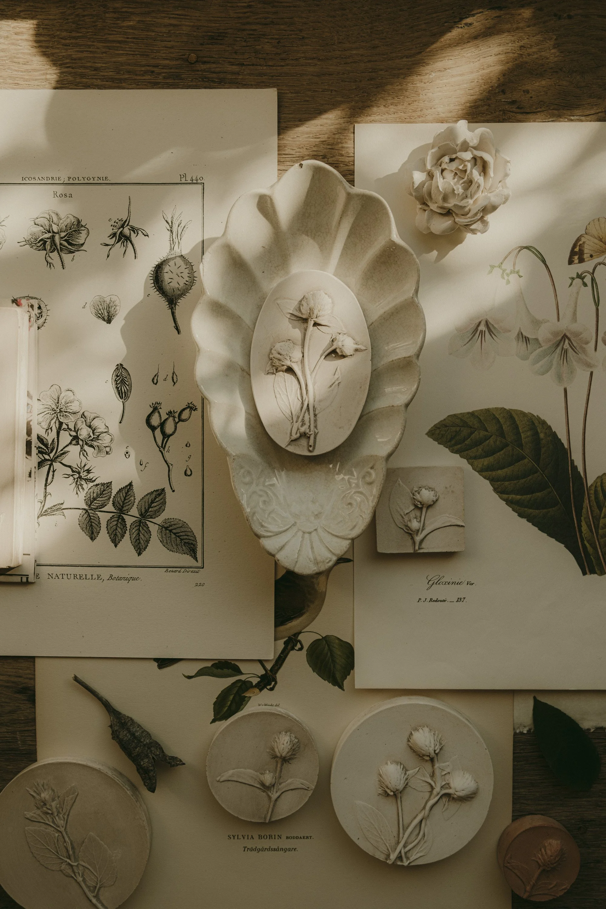 new collection 234-19.jpg