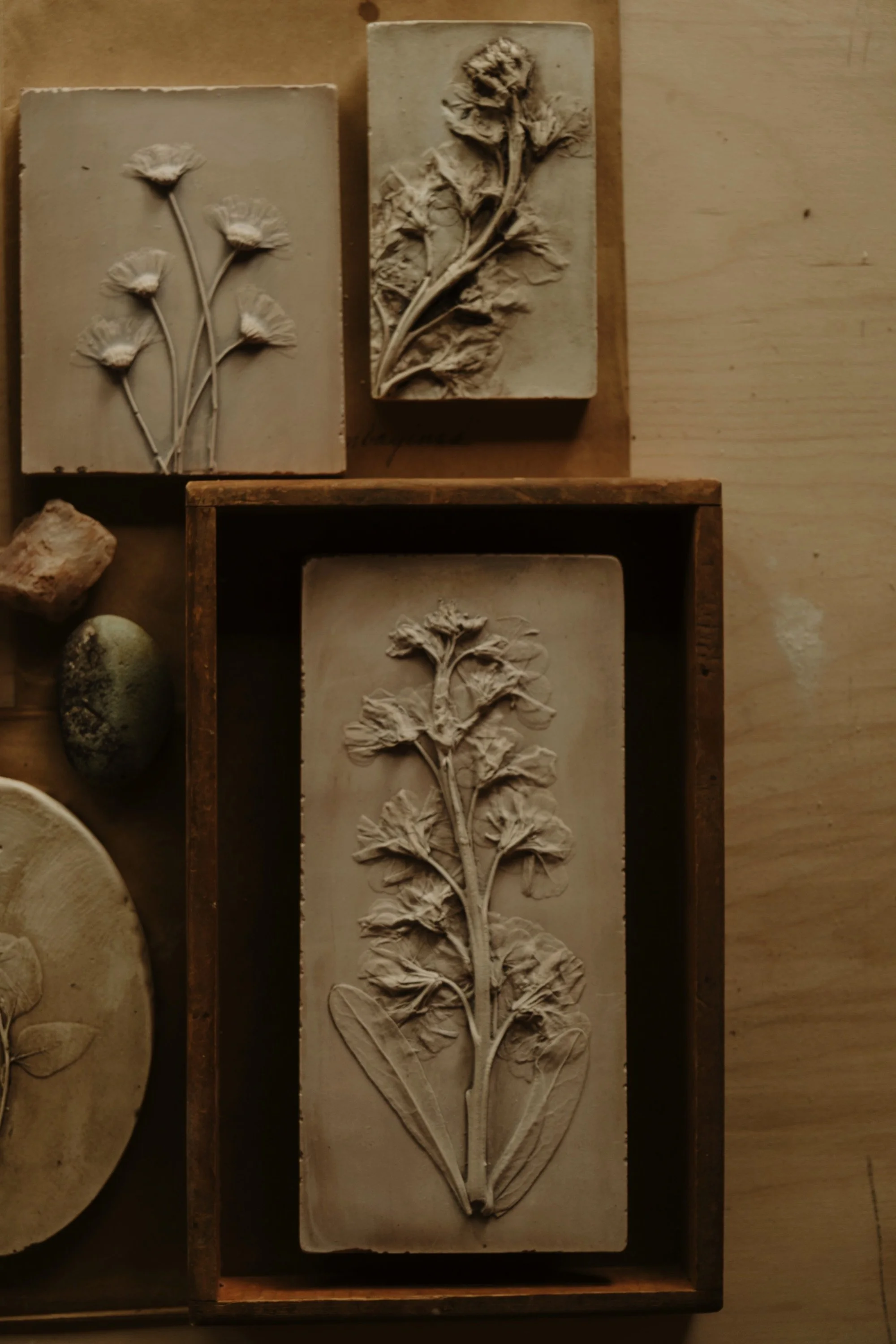 Organic — fossilized