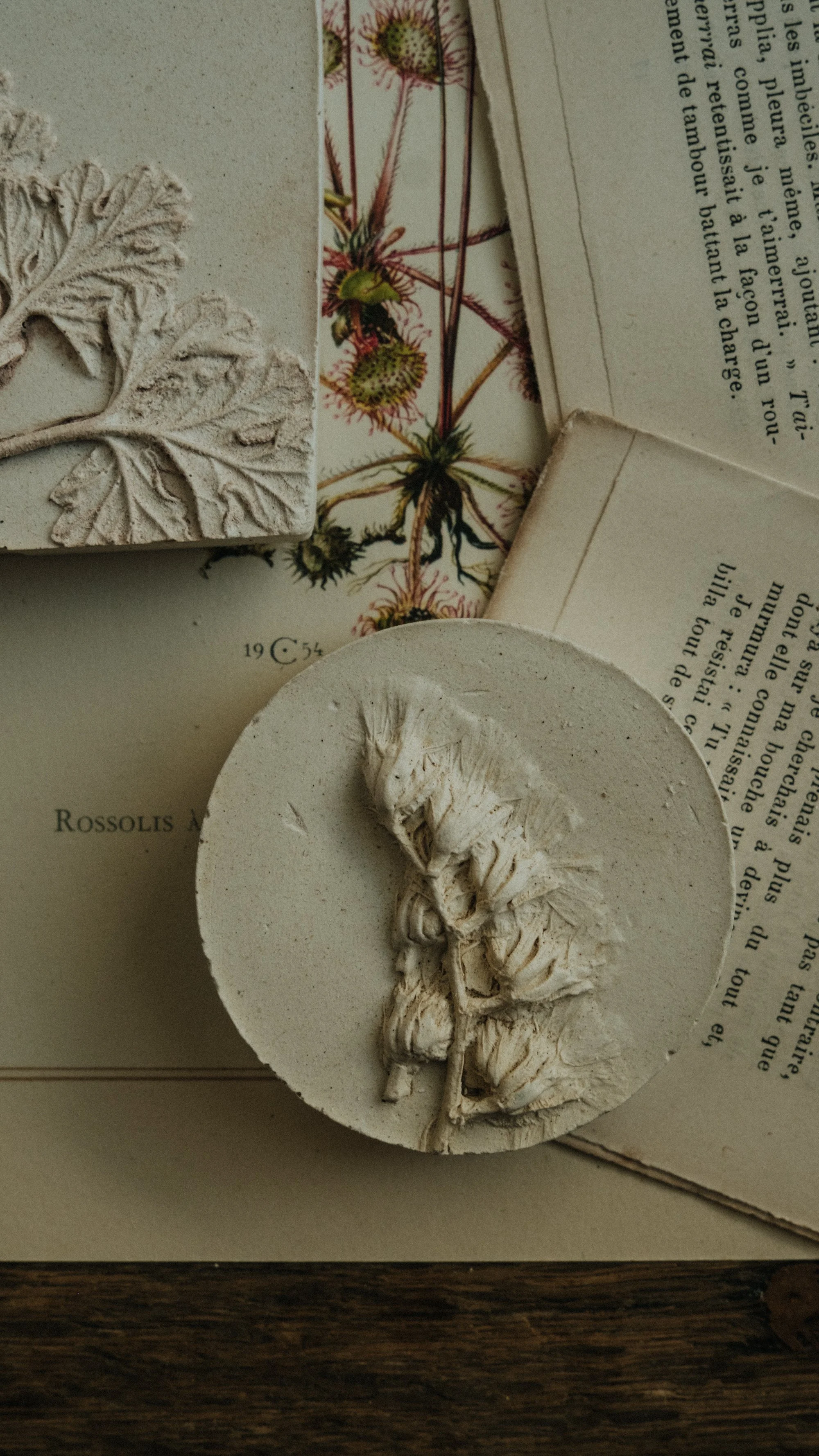 wabisabiportfoliodrop-079.jpg