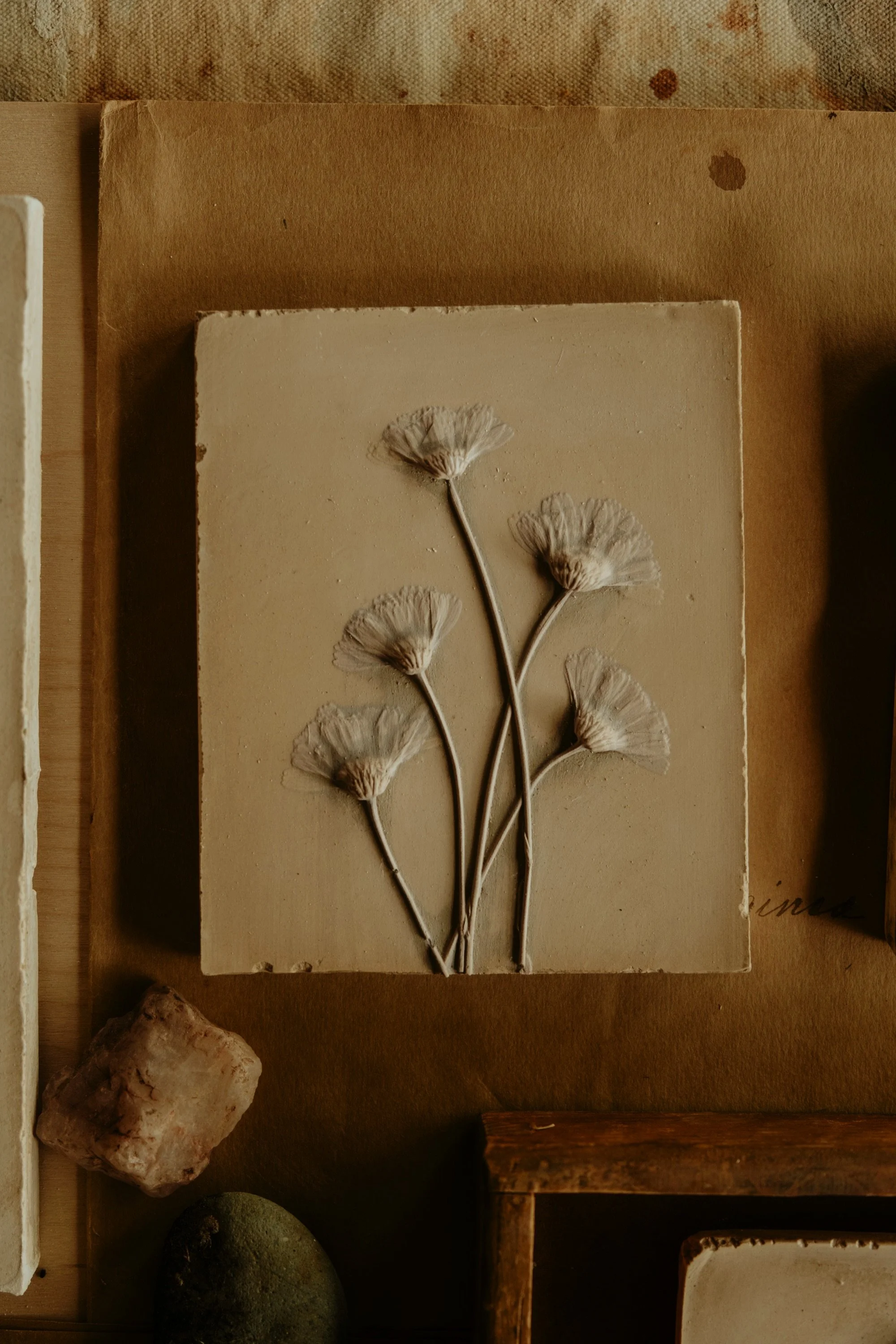 No. 1 · Desert marigold cast in sage water + gypsum, tinted with French ochre pigment from Provence. Rough edged with steel blade.
Measures 6.6 x 5.5