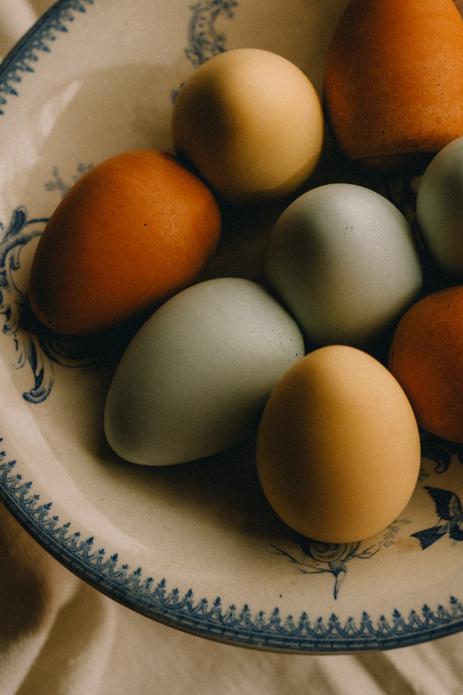 eggs-9.png