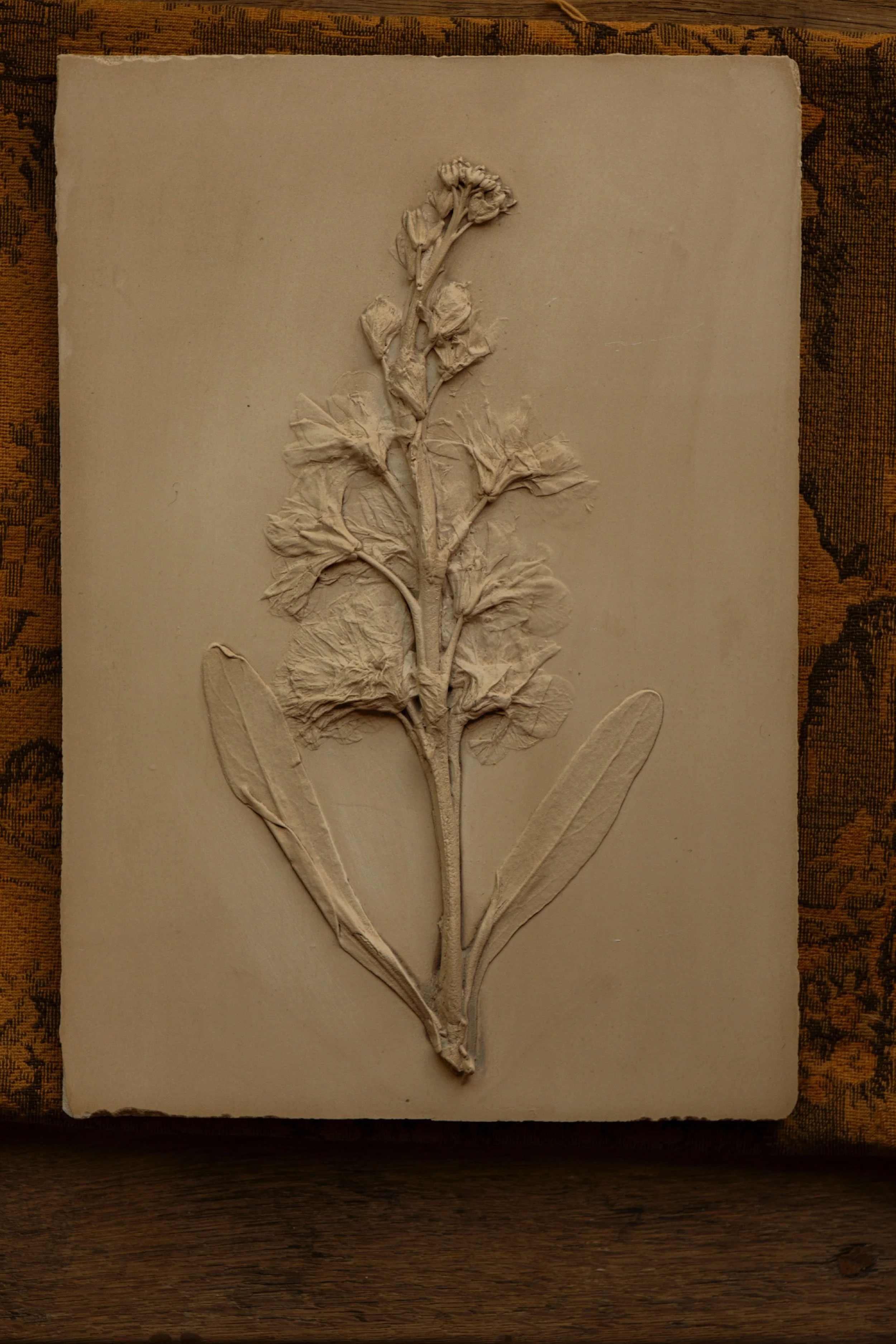 Wild Grasses
Year: 2024
Medium: Plaster, pressed grasses
Size: 60 x 45 cm
Edition: One of one