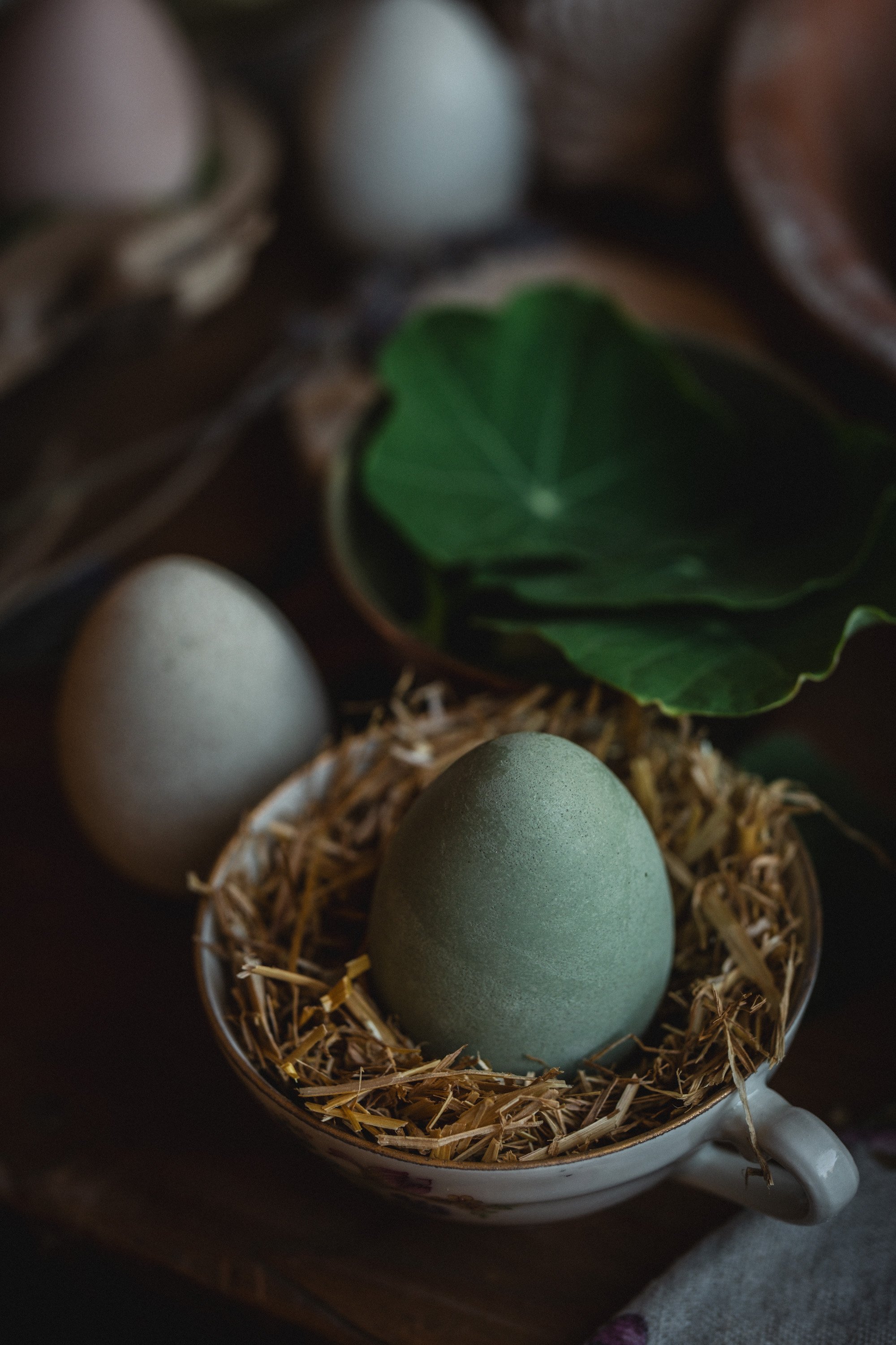 march collection-149.jpg