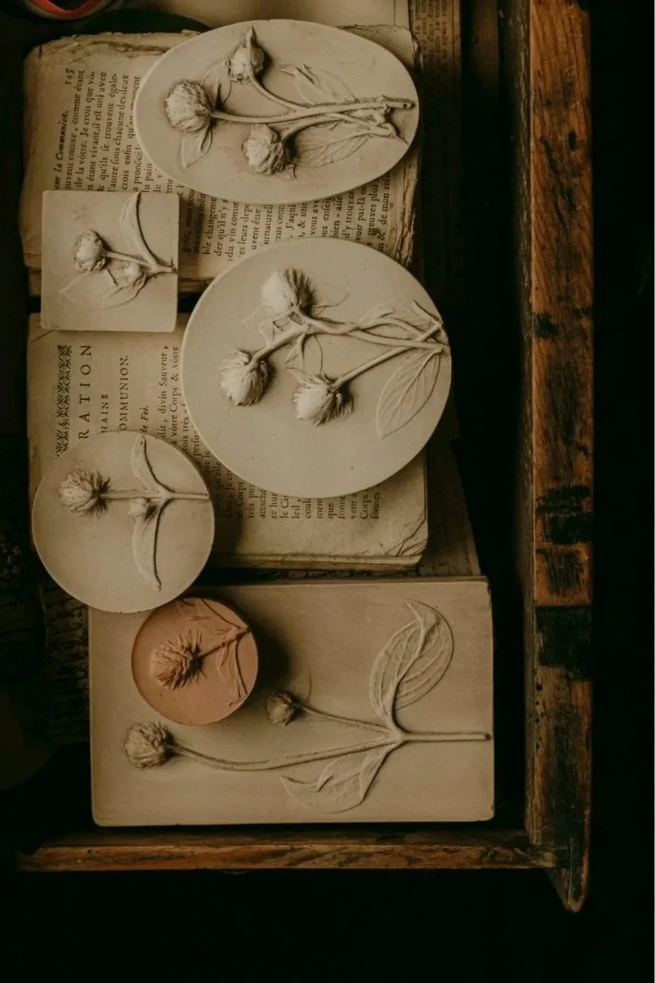 jocelynkempeplasterartist-5.jpg