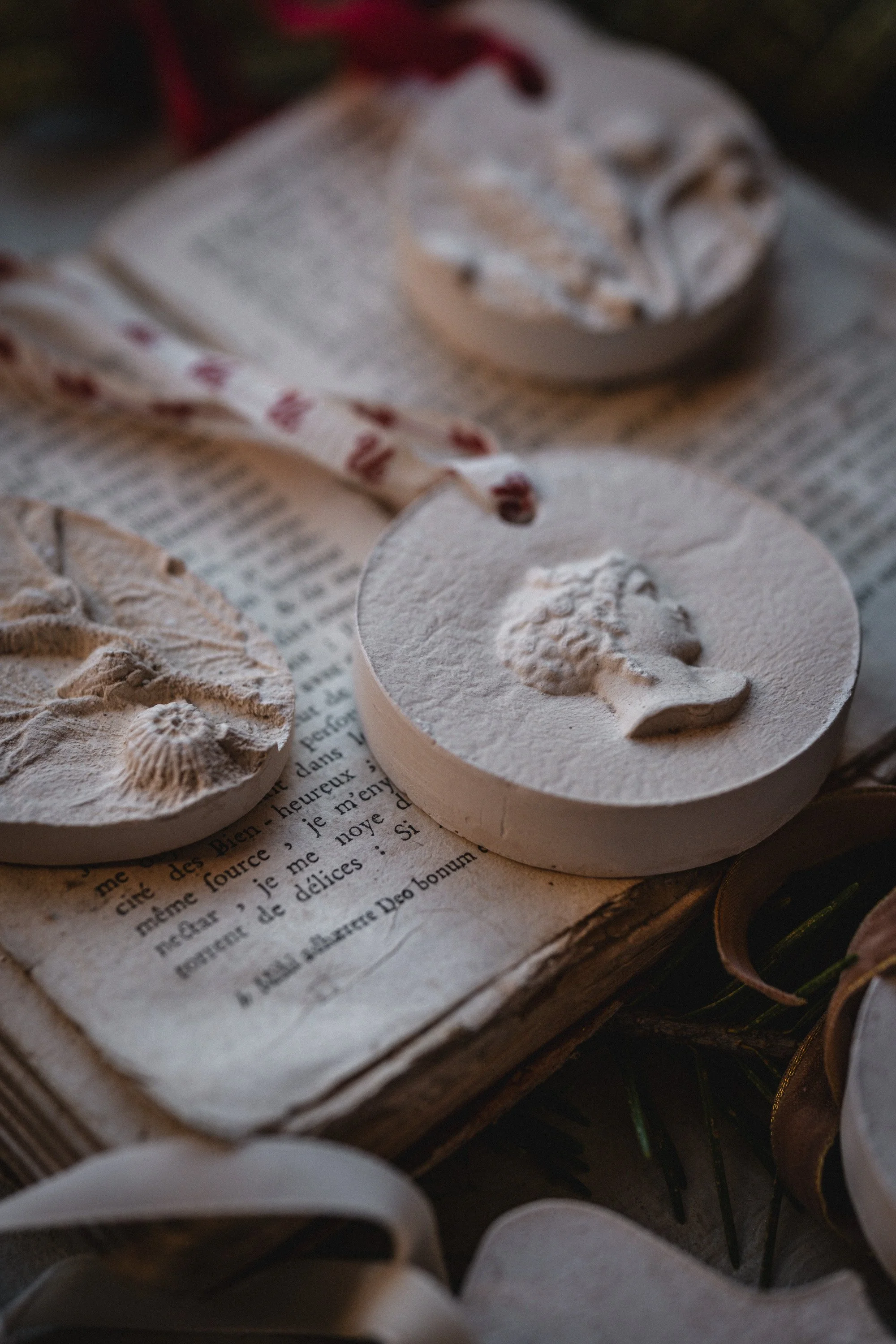 Frosted Petal-25.jpg