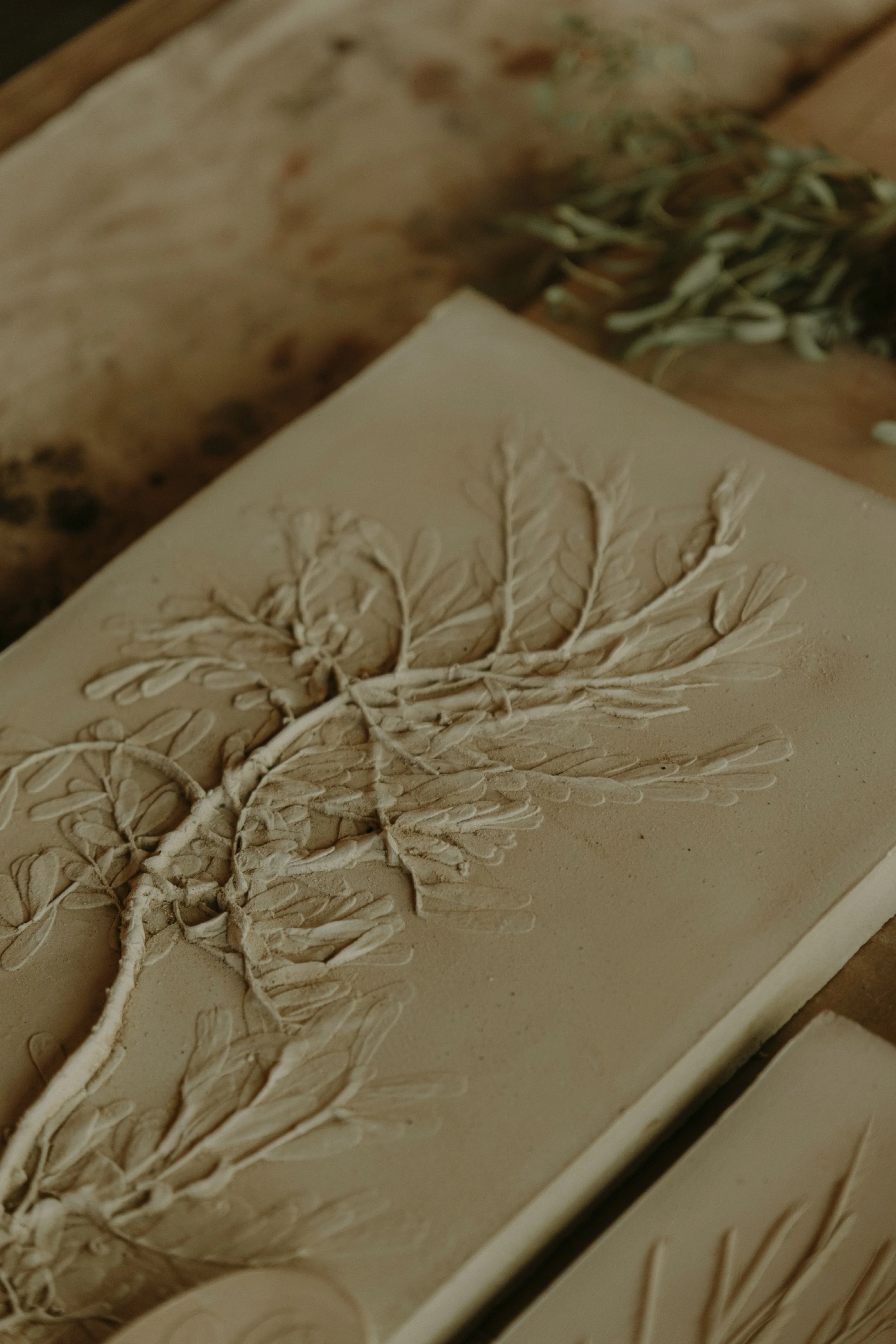 Organic — fossilized
