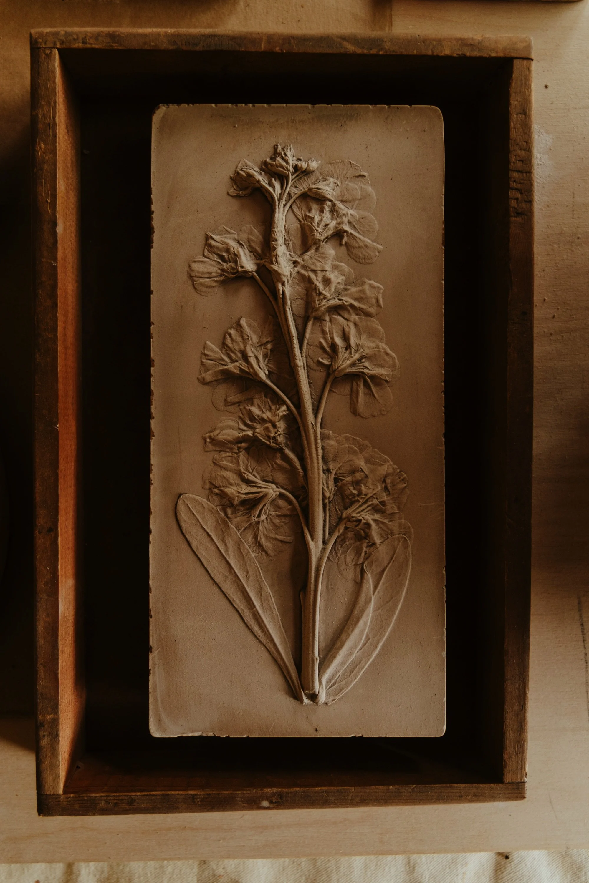 No. 3 · Single stock stem cast in gypsum and washed in Soldarte clay. Rough steel edging. Very organic and unusual.
Measures 11 x 5