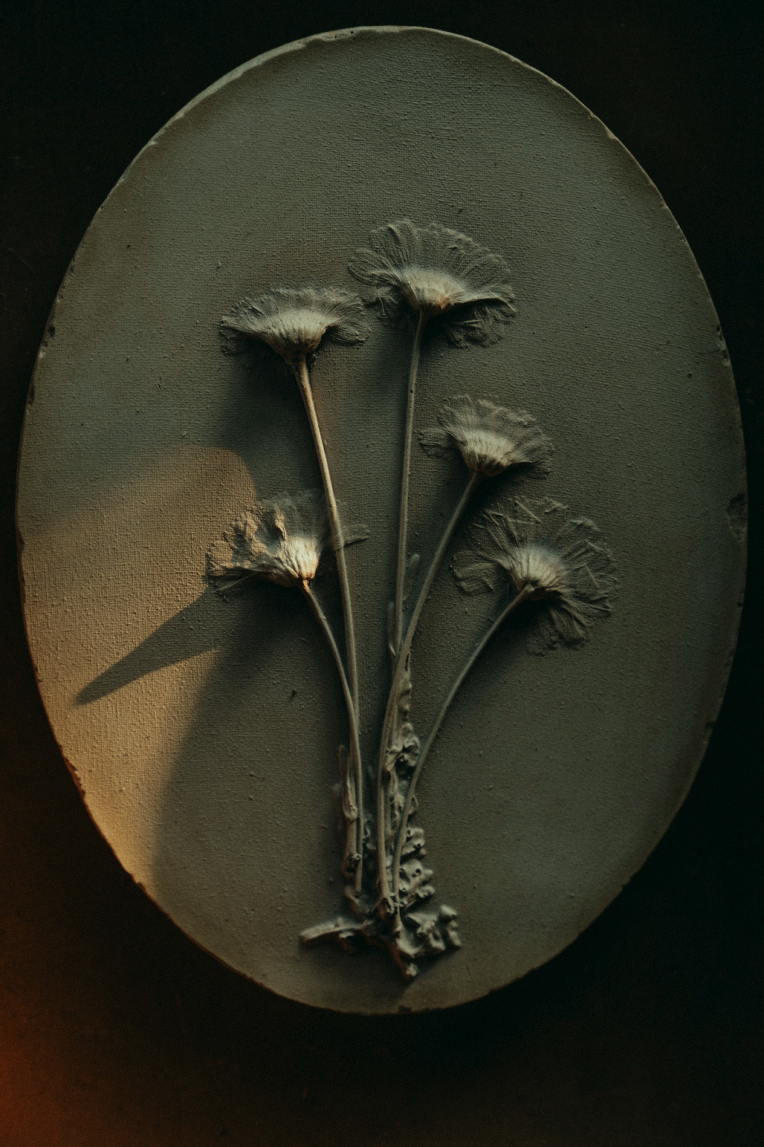 Stems in Grey
Year: 2025
Medium: Tinted plaster, wooden box
Size: 30 x 22 cm
Edition: One of one