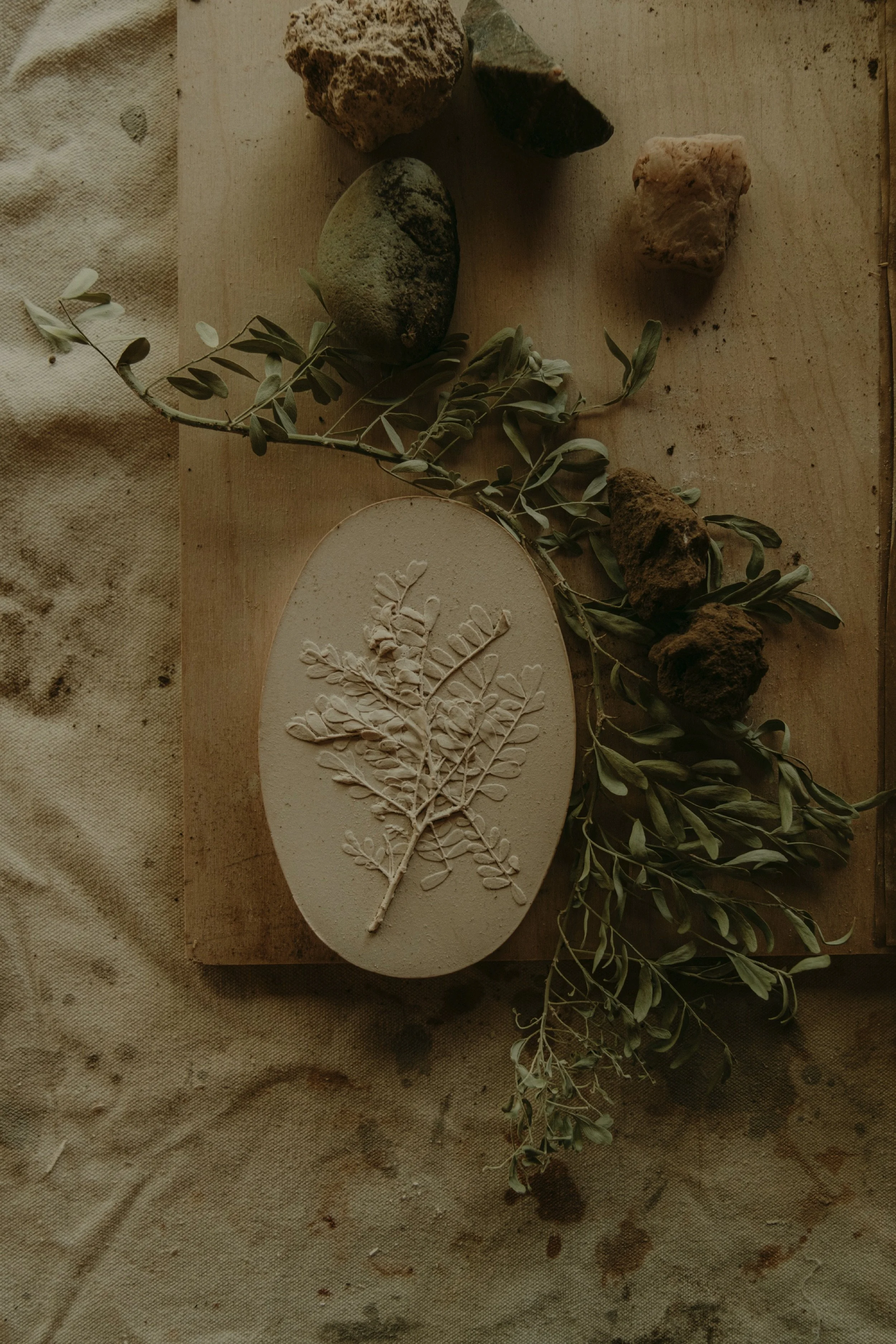 Ironwood tree branch cast in thyme water and gypsum plaster.
Oval shape