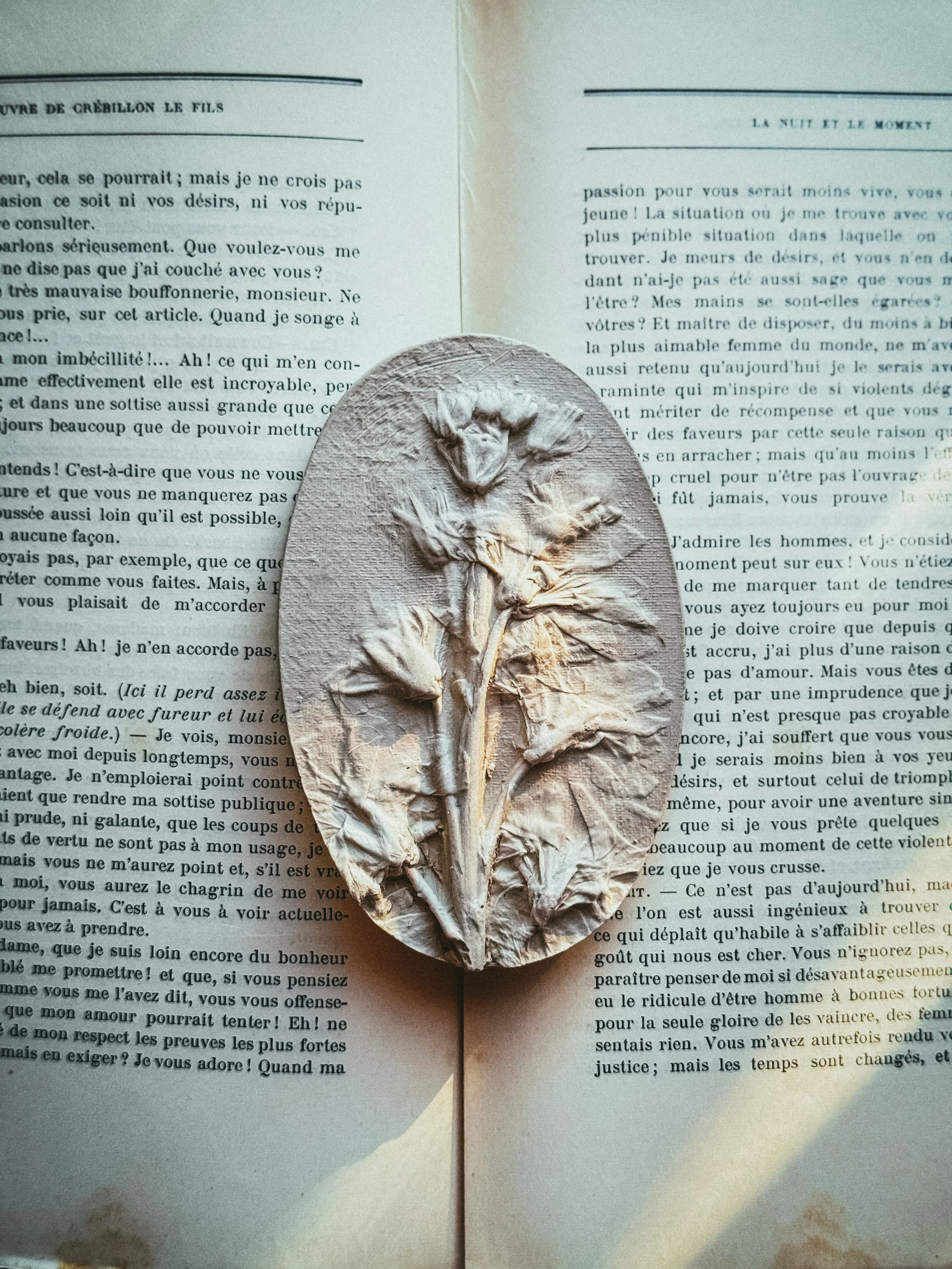 Eloise Plaster in Natural