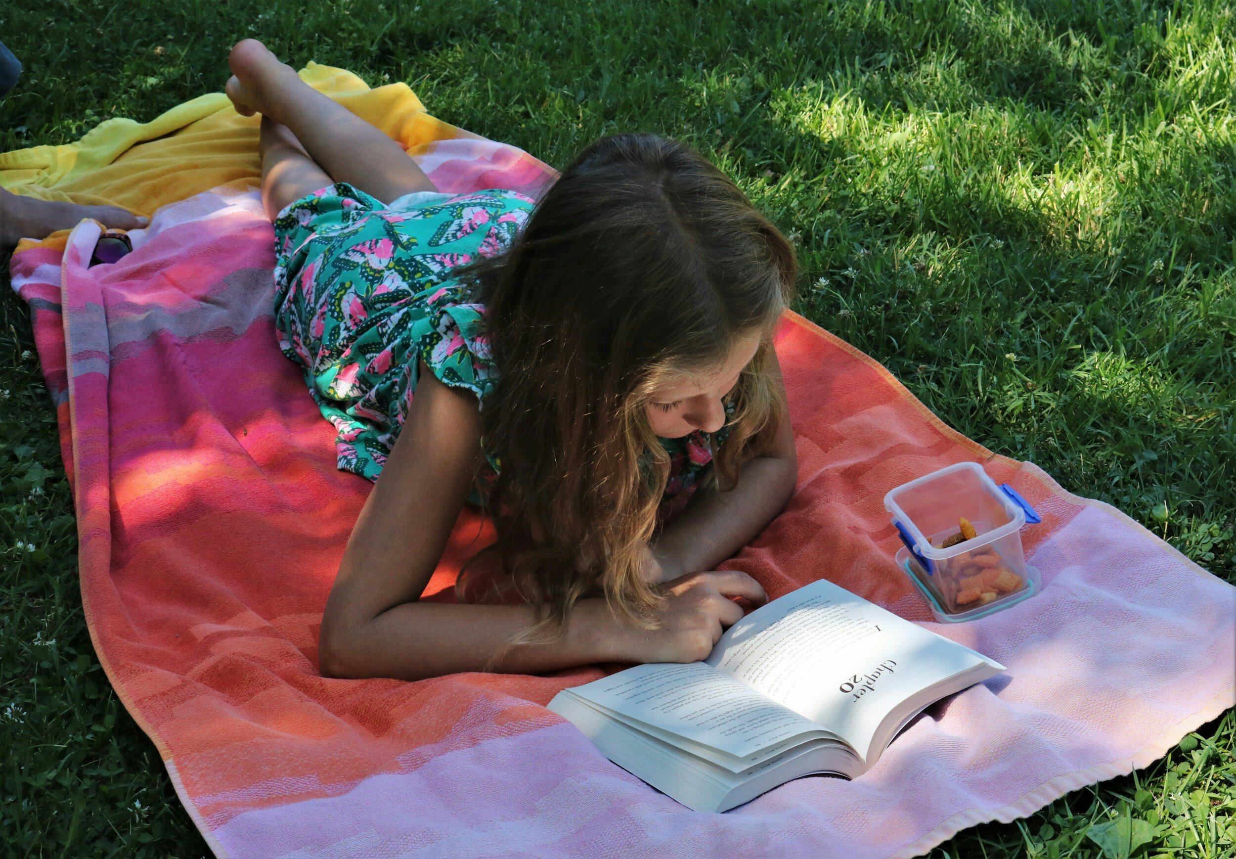 Reading Jump Start: Developing (going into 2nd-3rd grade)