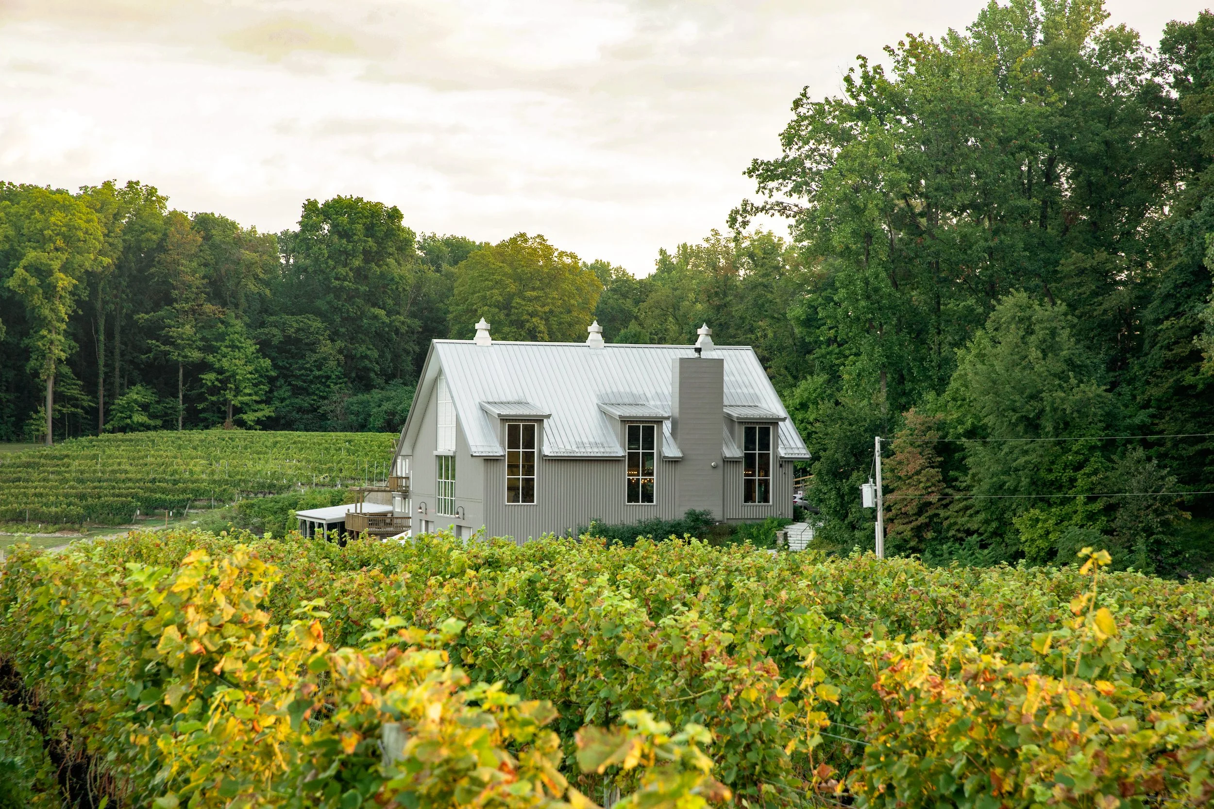 Dablon_Vineyards-2.jpg