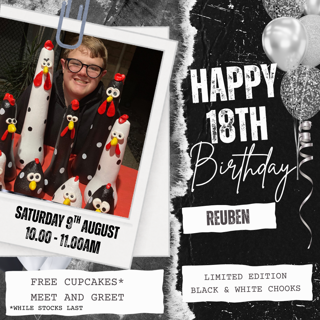 Reuben’s Birrthday - Cupcakes!