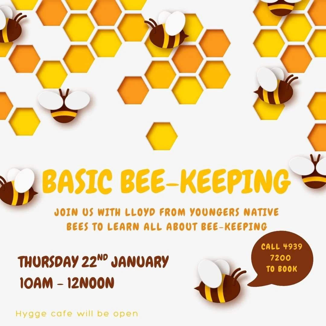 Native Bee Keeping