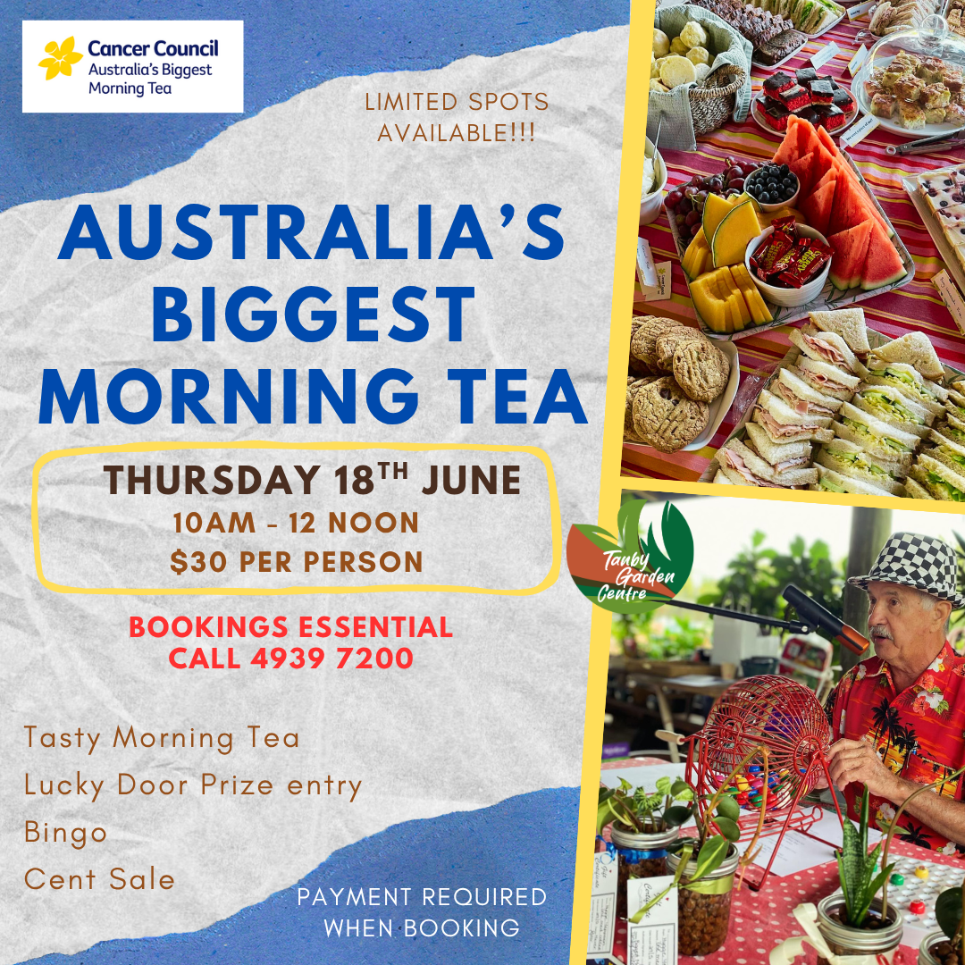 Australia’s Biggest Morning Tea – Bookings Now Open! 🎉