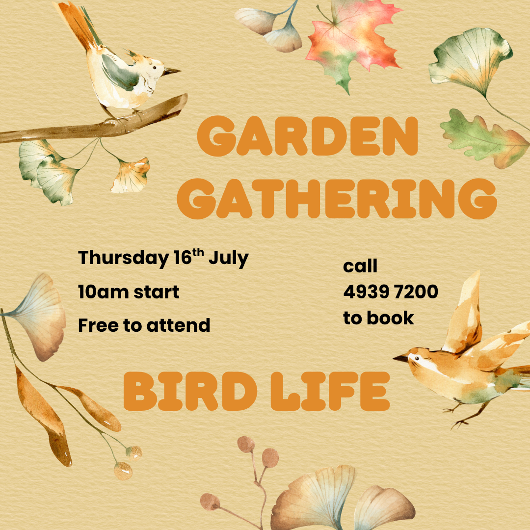 Garden Gathering - Bird Life