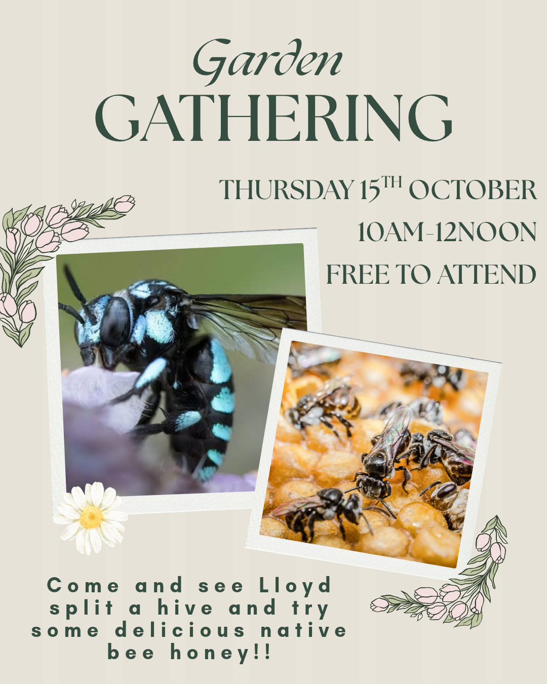 Garden Gathering – Native Bees