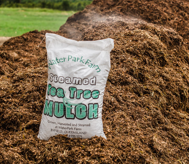 Teatree mulch.png