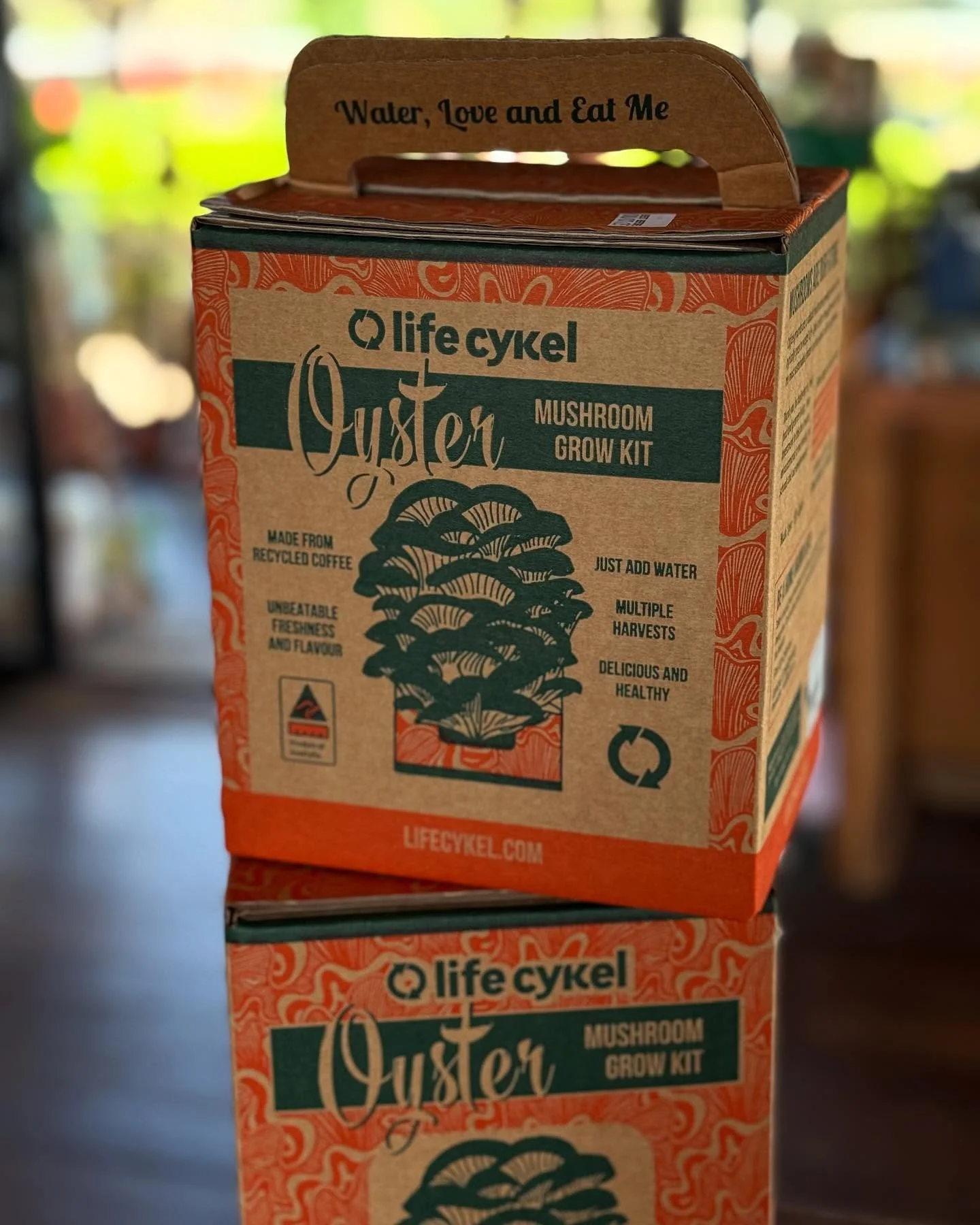 Mushroom kit.jpg