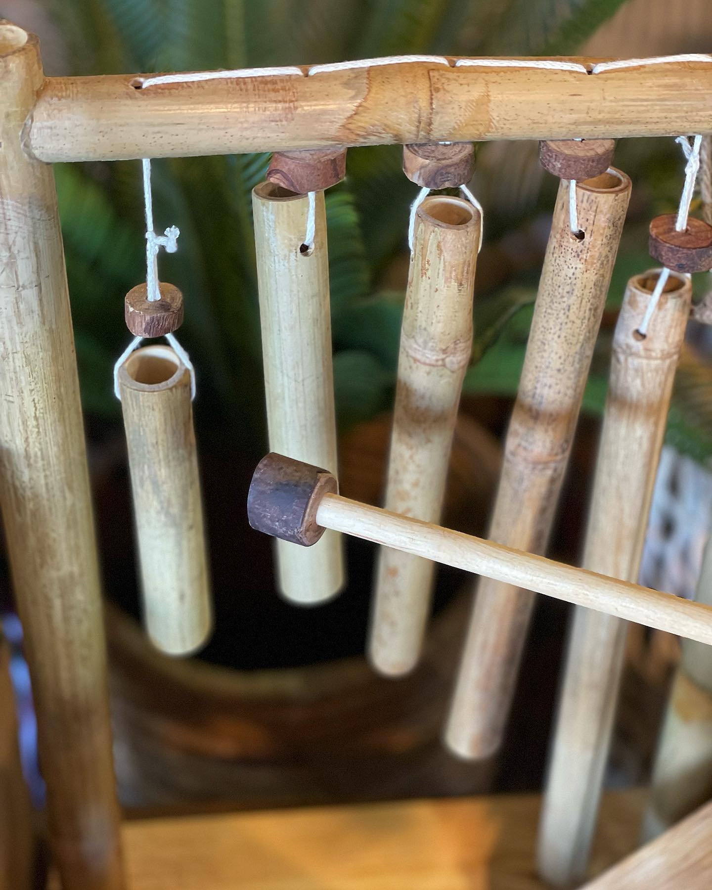 bambolo_chimes382233380_734298948711343_4653794287314447510_n.jpg