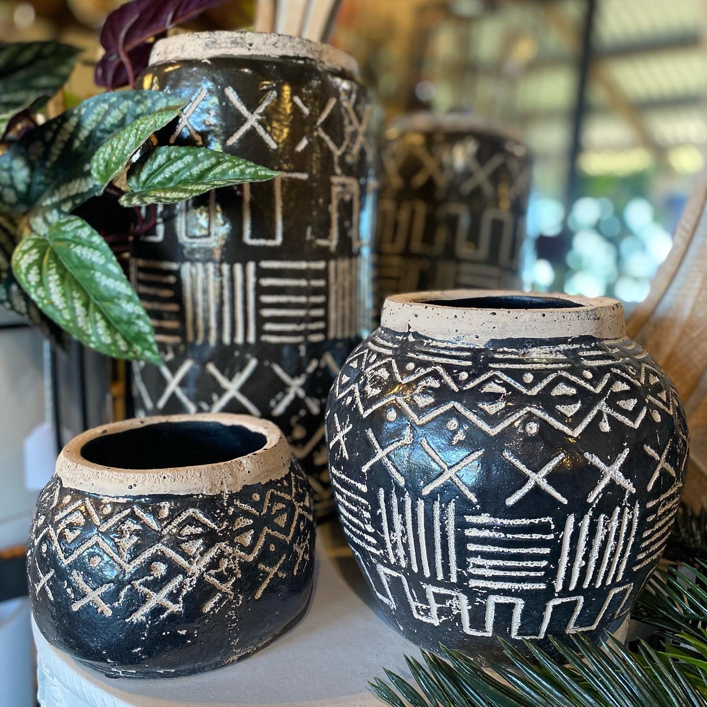Indoor Pots