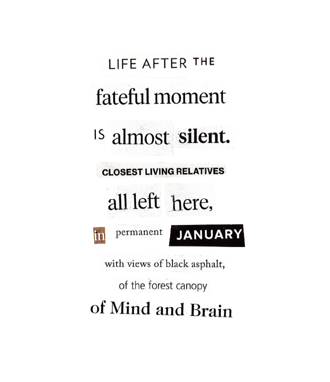 Screenshot 2024-01-30 200416.png