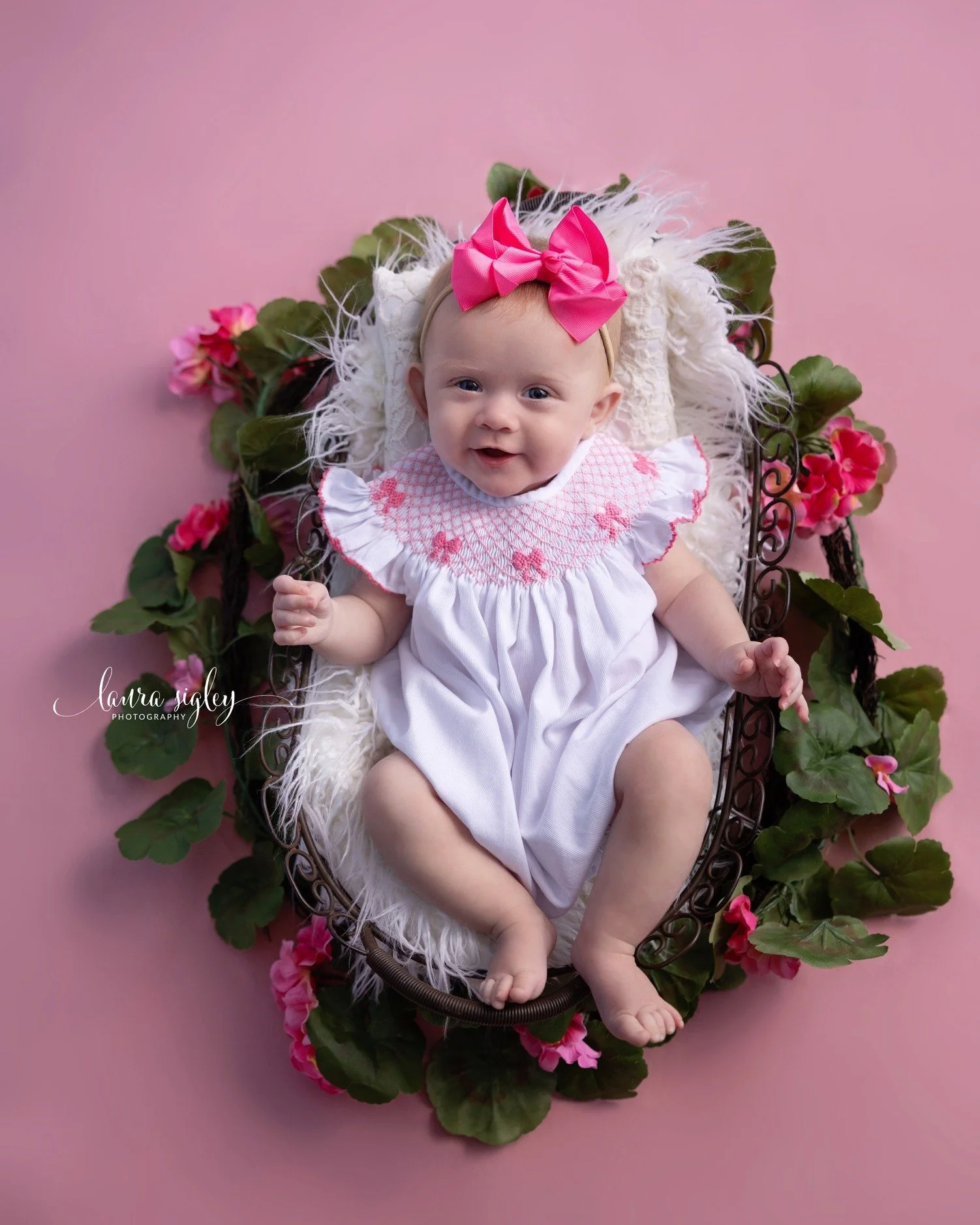 Four months old and perfect.