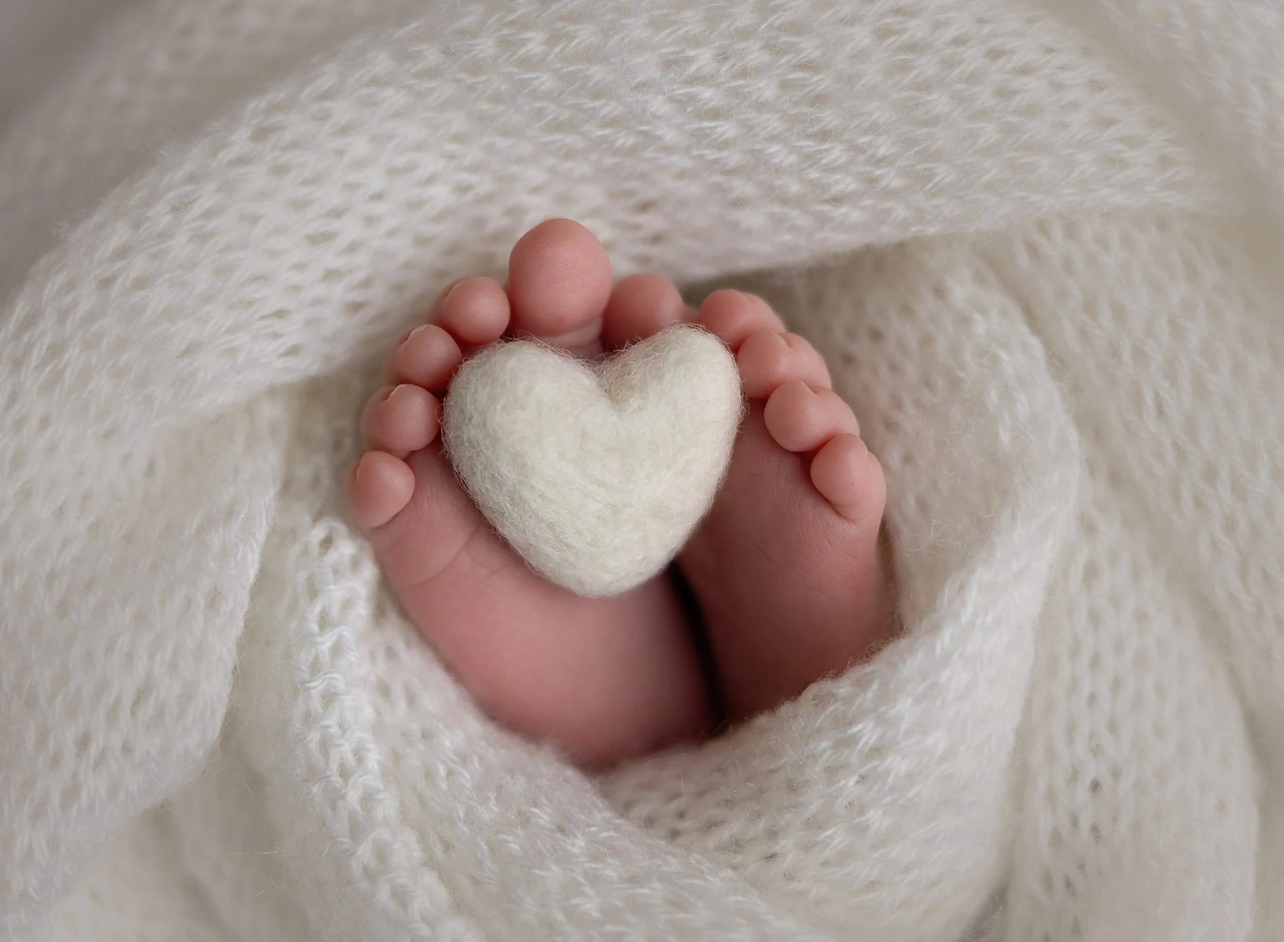 Newborn toes with a heart prop Sarasota FL photo studio