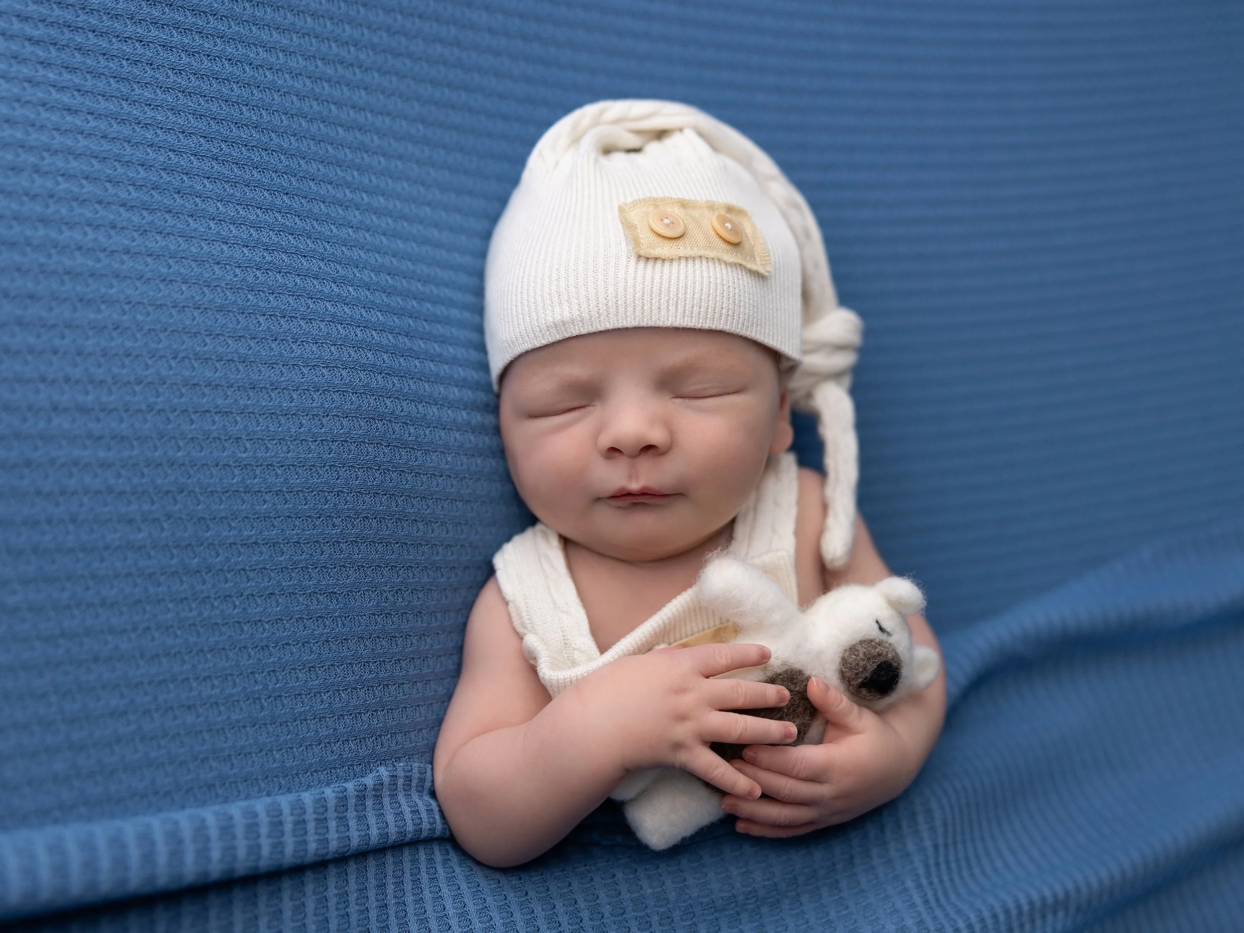 Newborn boy in cream and blue holding a bear in Sarasota FL photo studio.