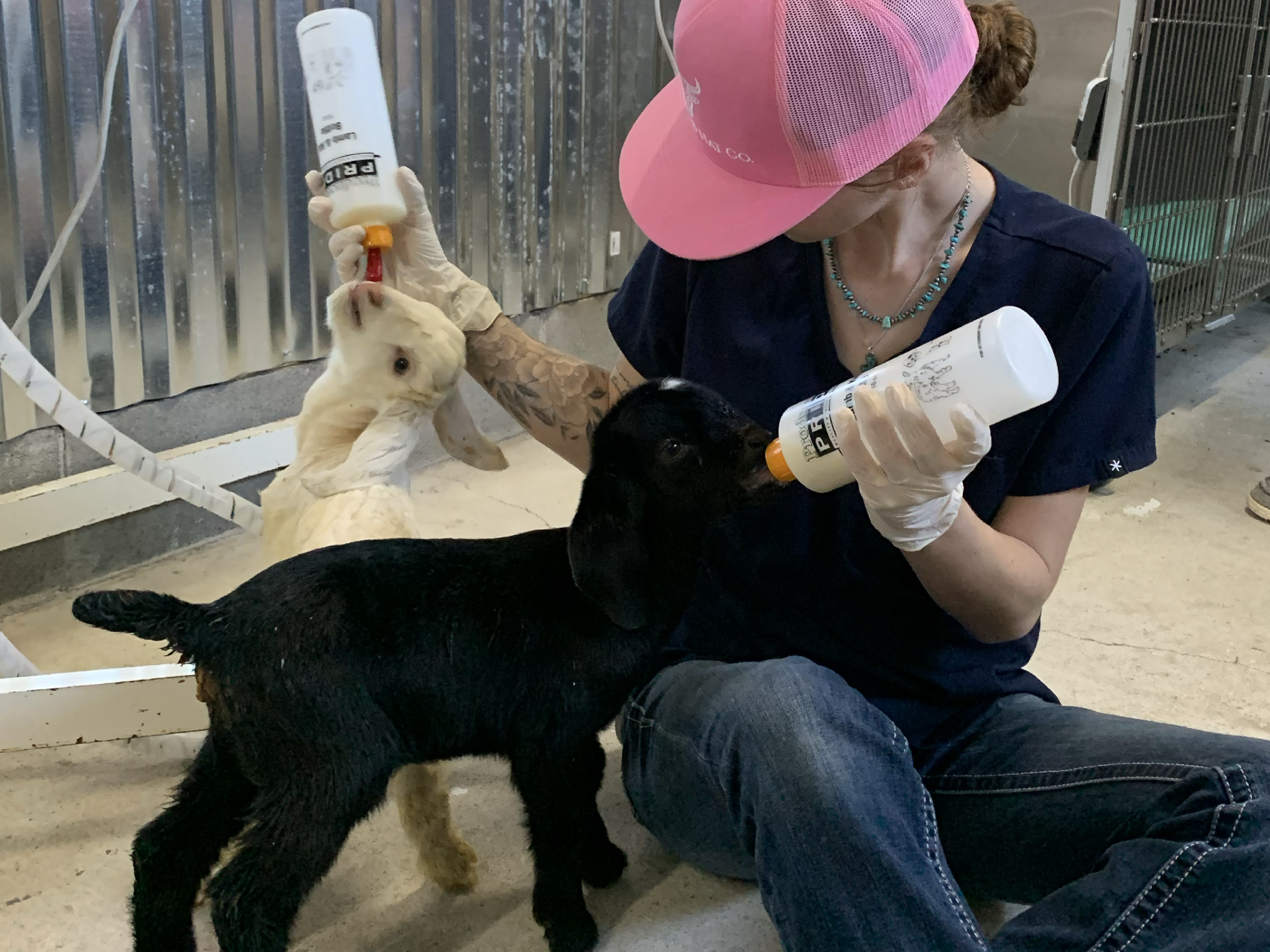 Newborn Feeding Essentials