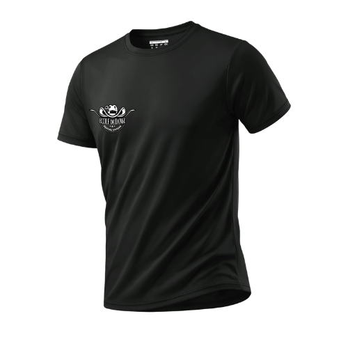 Création sans titre (15).png