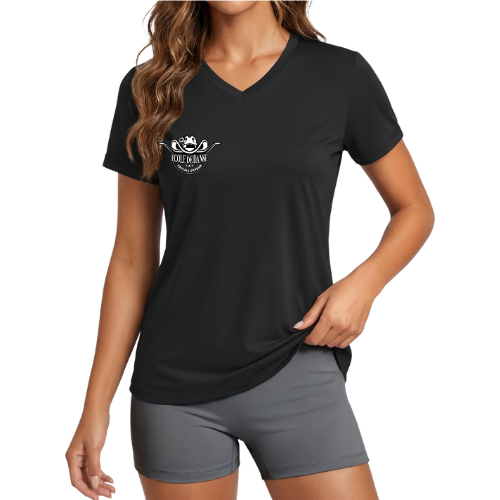 Création sans titre (17).png