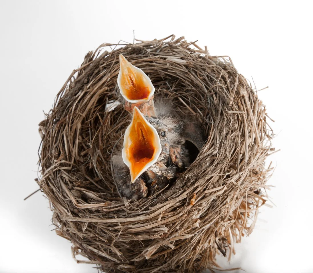 Mom Guilt? How to Give Yourself — and Your Loved Ones — a Break.