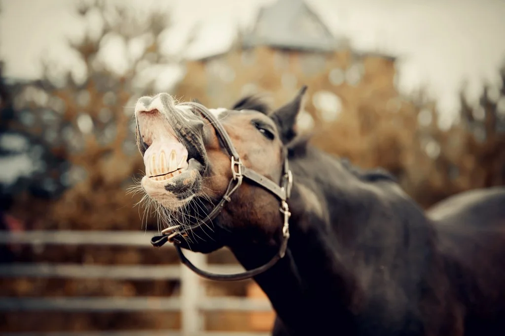 Empathy 101 for A-Holes:  A Love Story