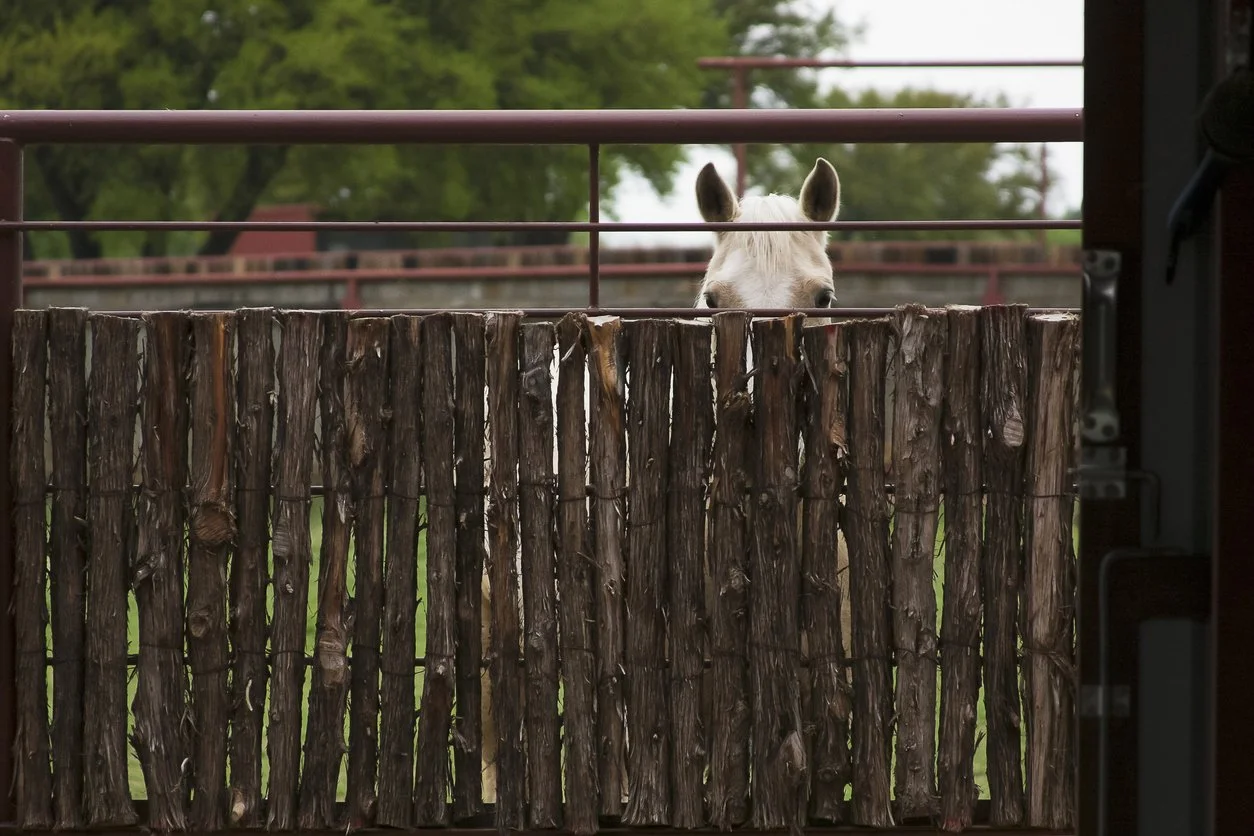 The Problem with Relationships:  We Crave Connection. That Seriously Freaks Us Out.  Here’s How to Handle It.